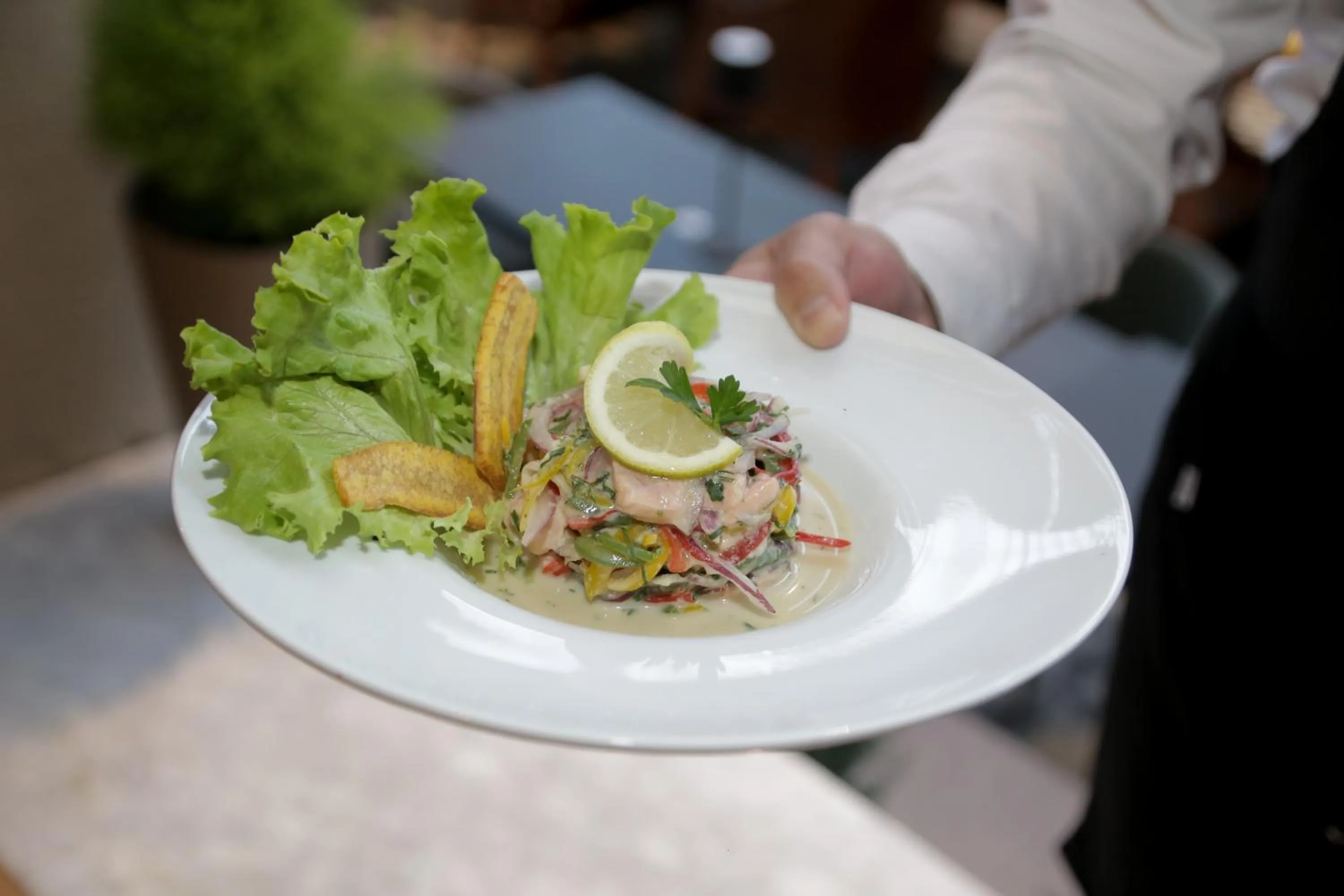 Restaurant/places to eat in Hotel José Nogueira