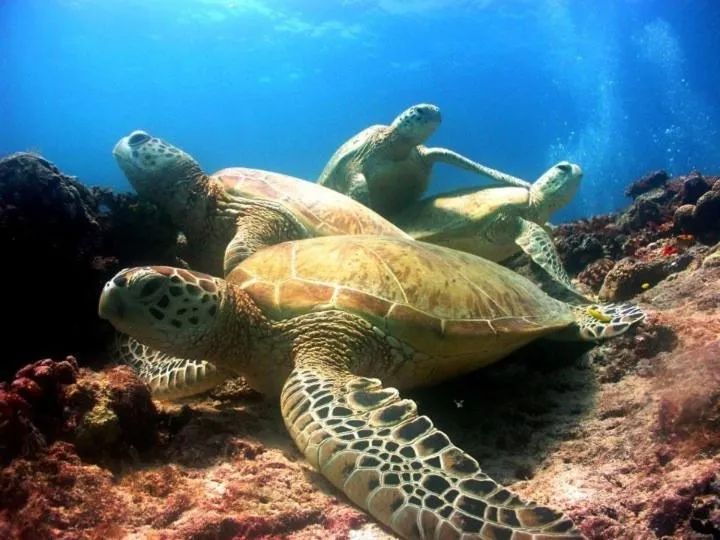 Activities in Prima B&B Hostel