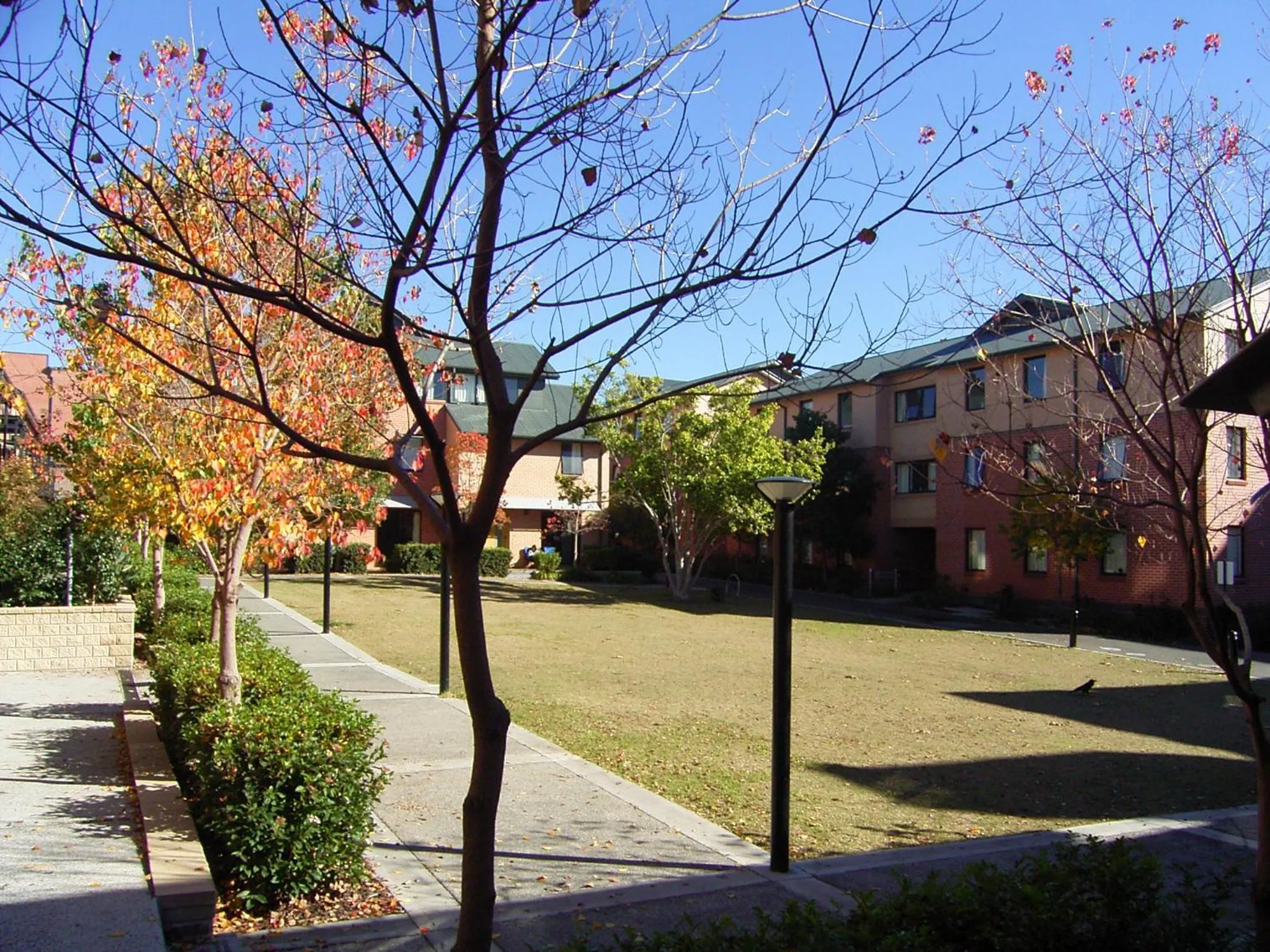 Property Building in Sydney University Village