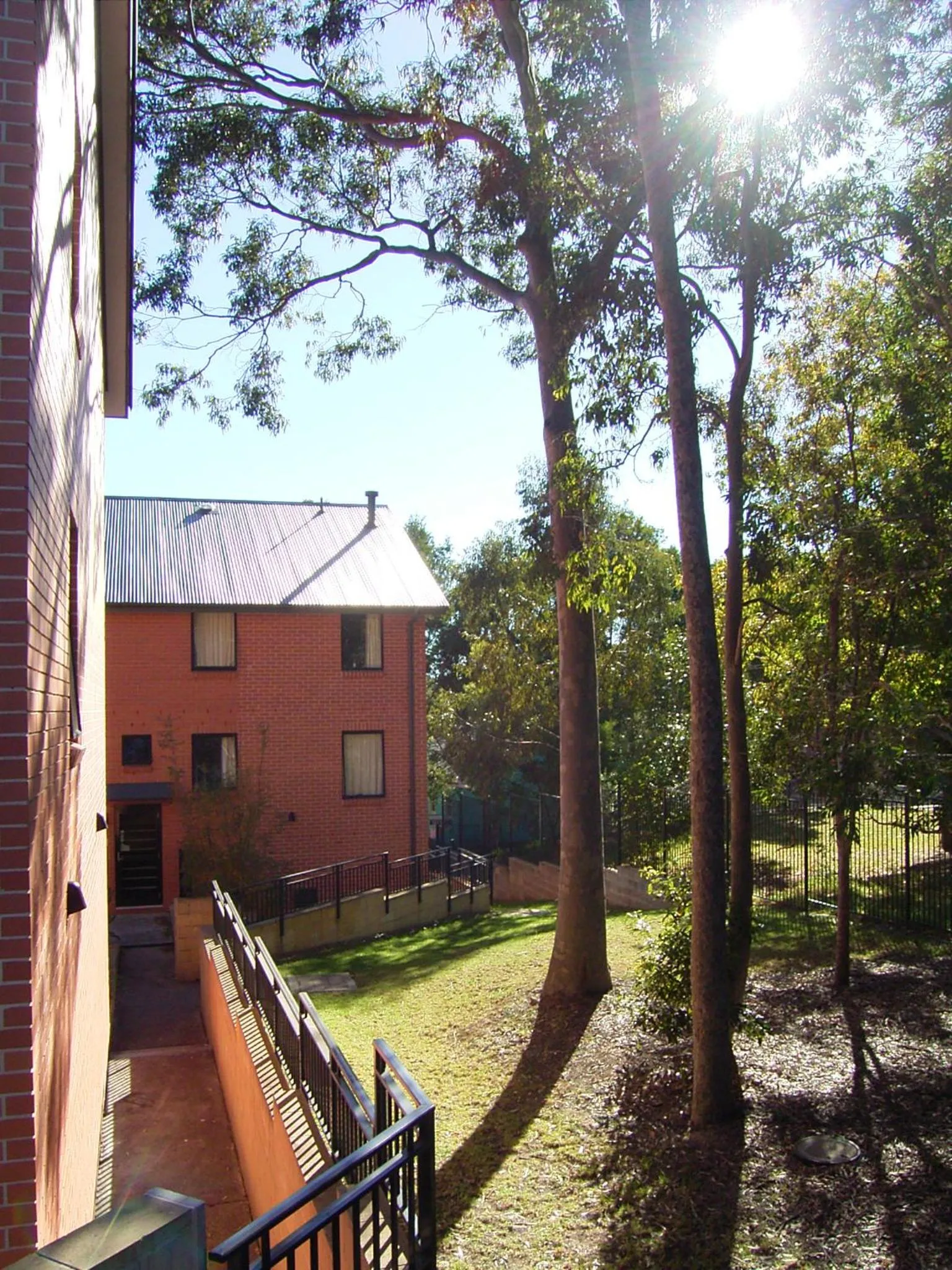 Property Building in Sydney University Village