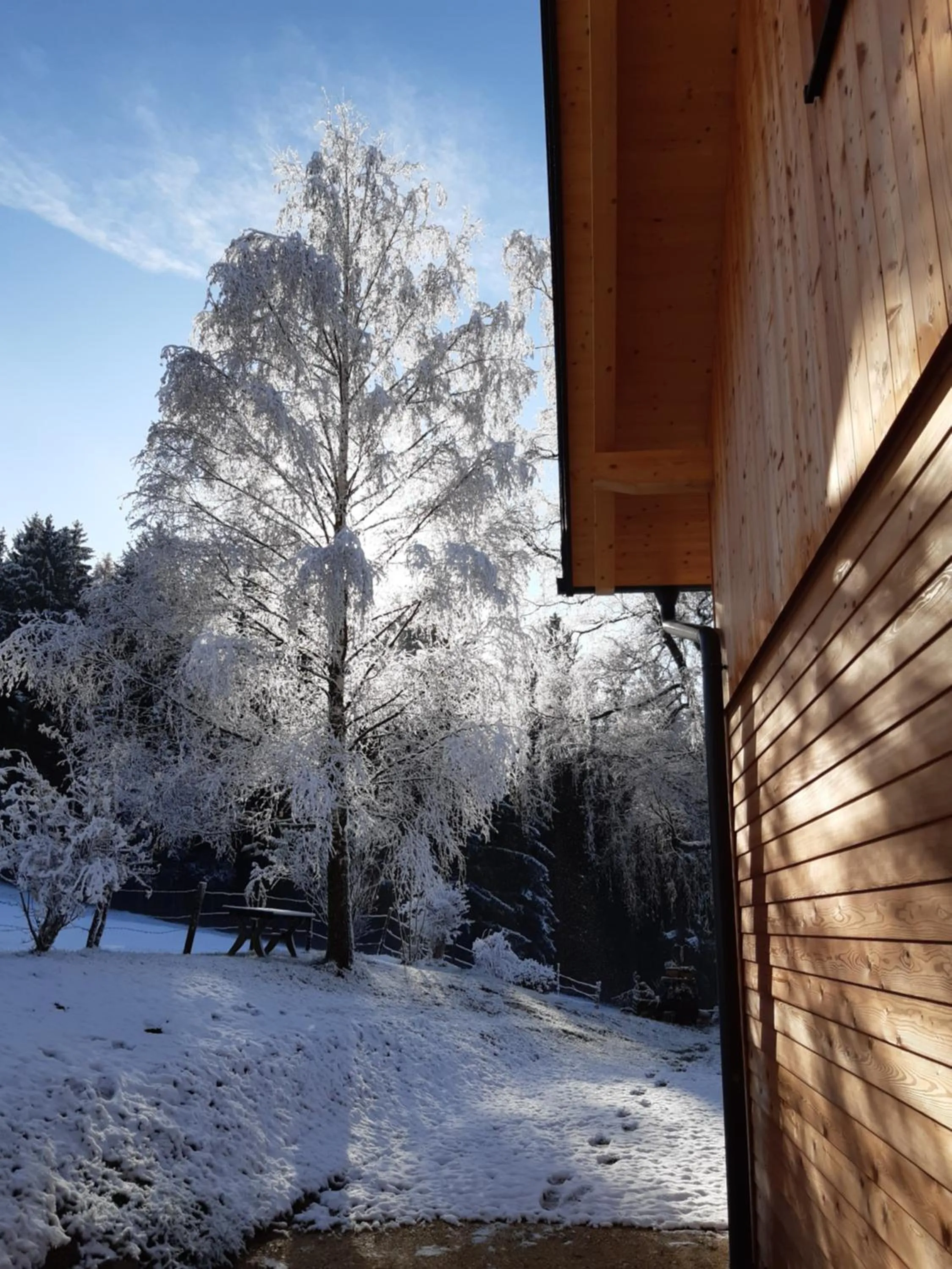 Natural landscape in Auszeit Almhaus Schmalzbauer