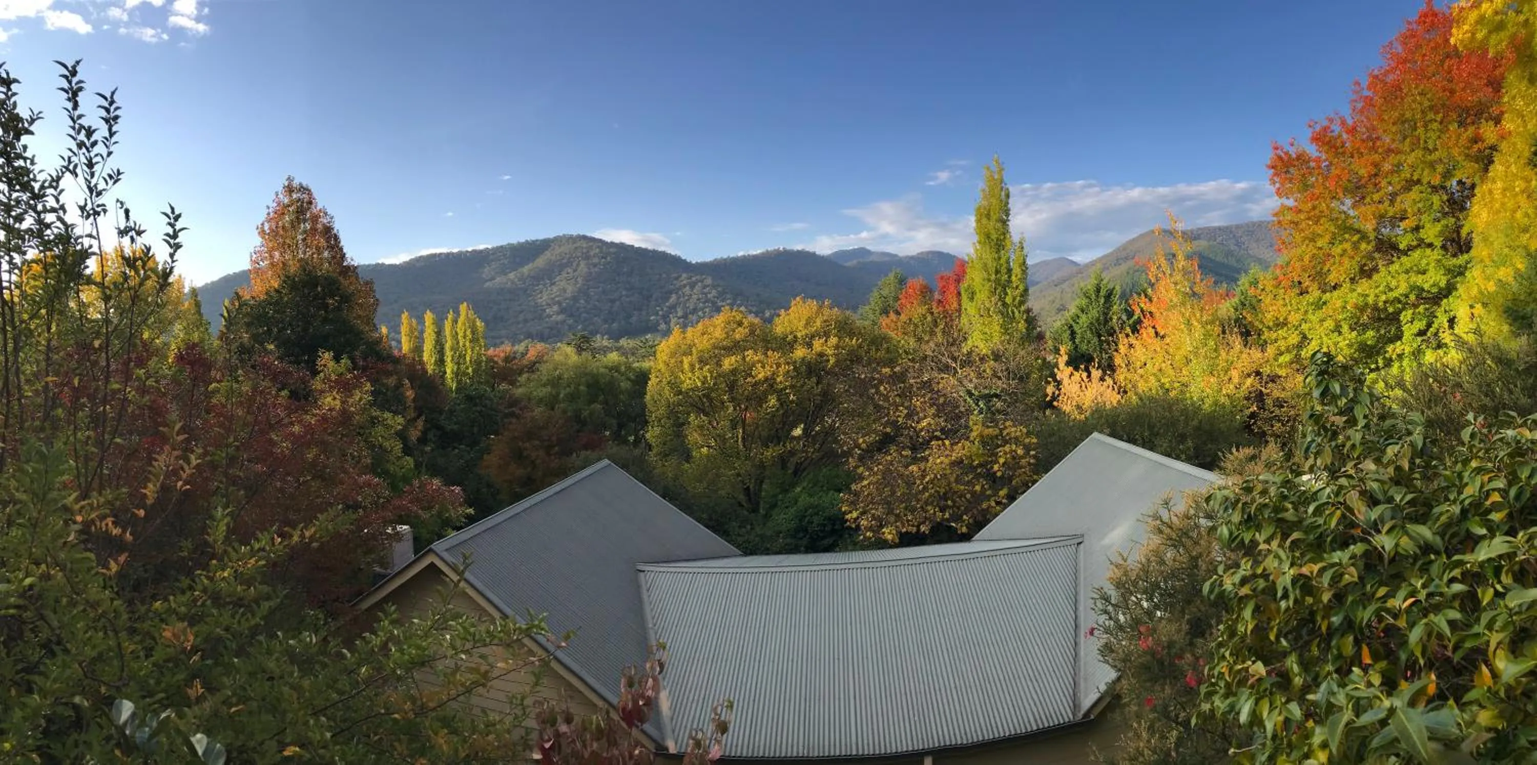 Chestnut Tree Holiday Units