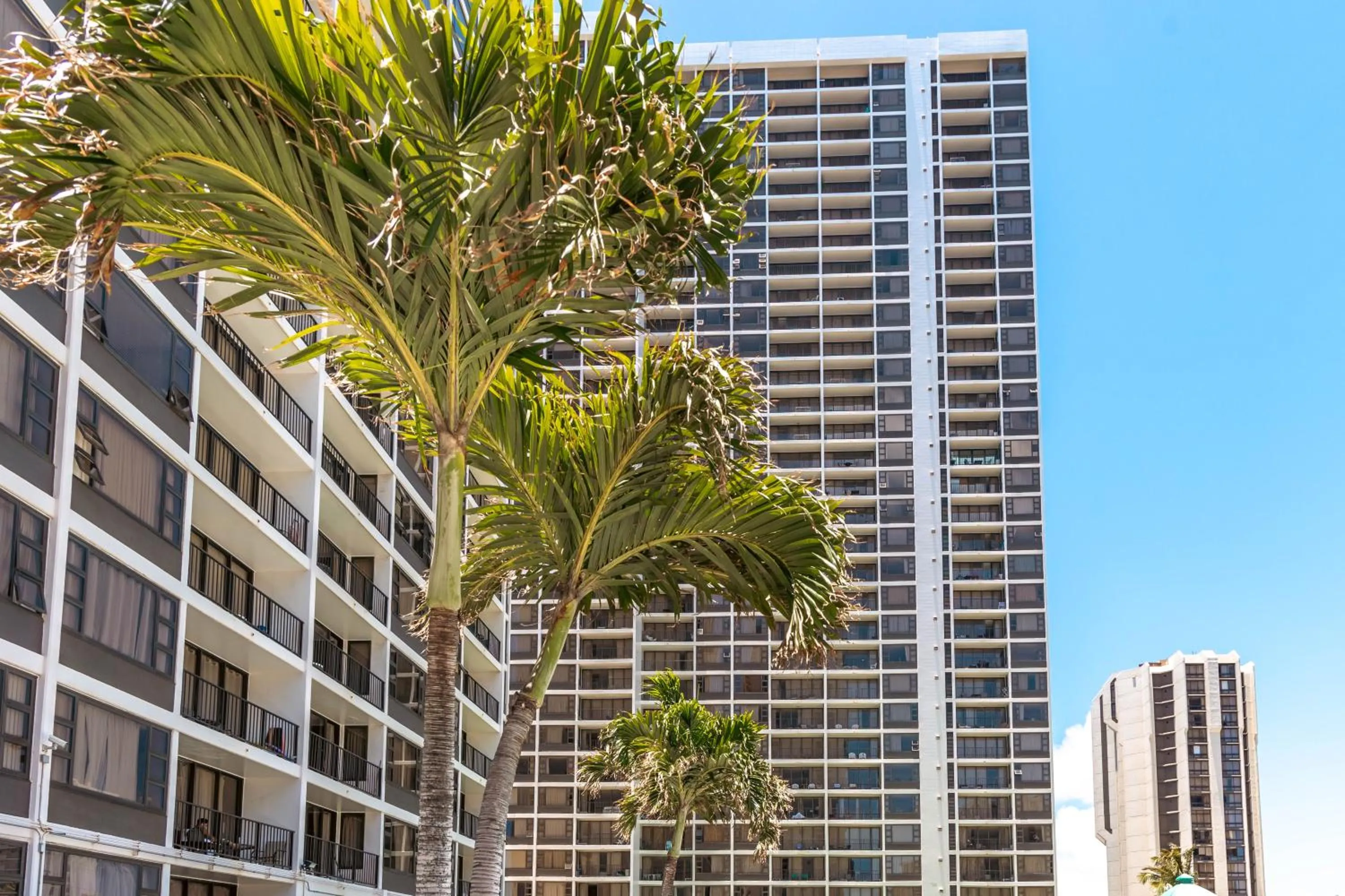 Property building in Fabulous Diamond Head & Ocean View Condo with Free Parking