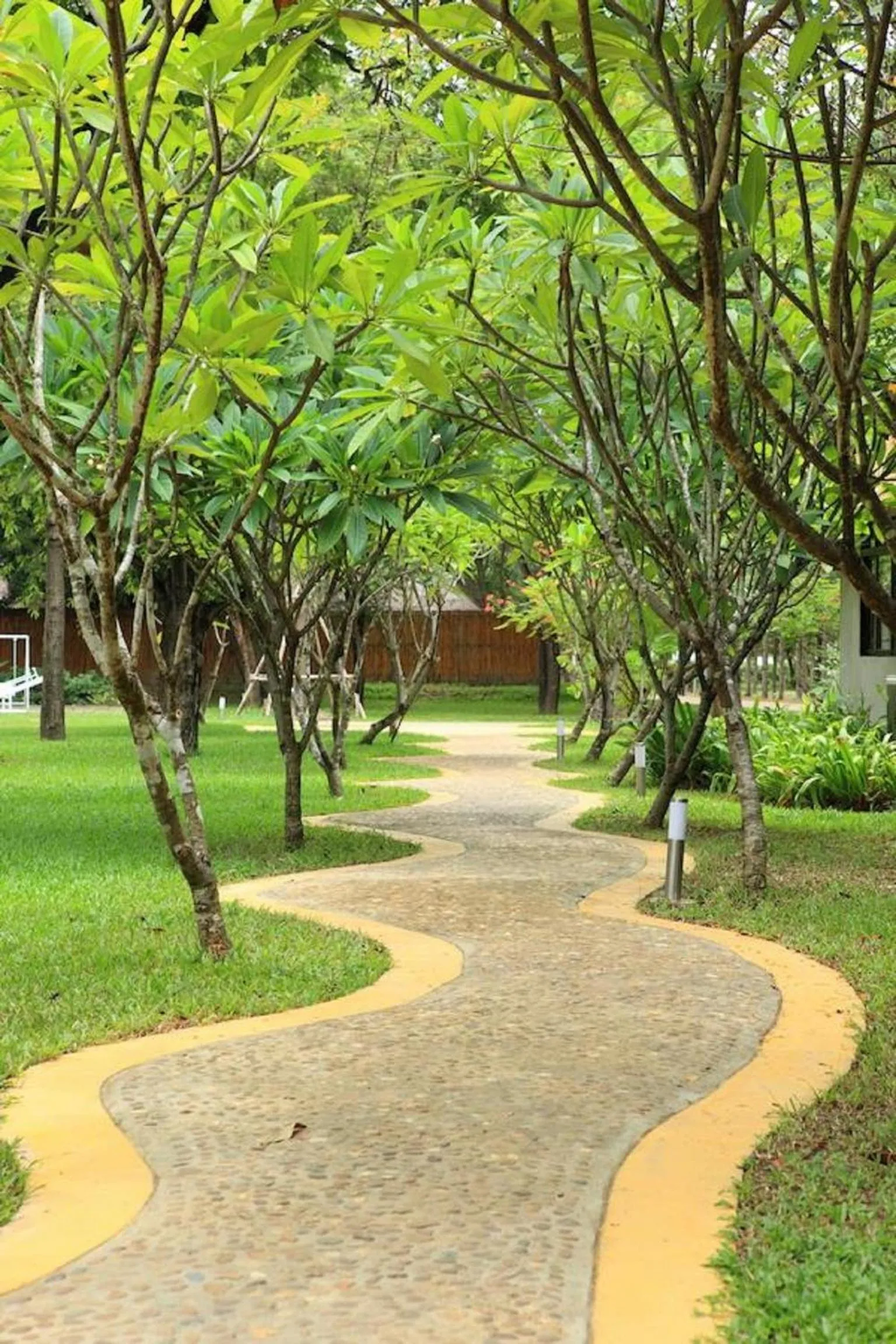 Hansar Casuarina Cha am