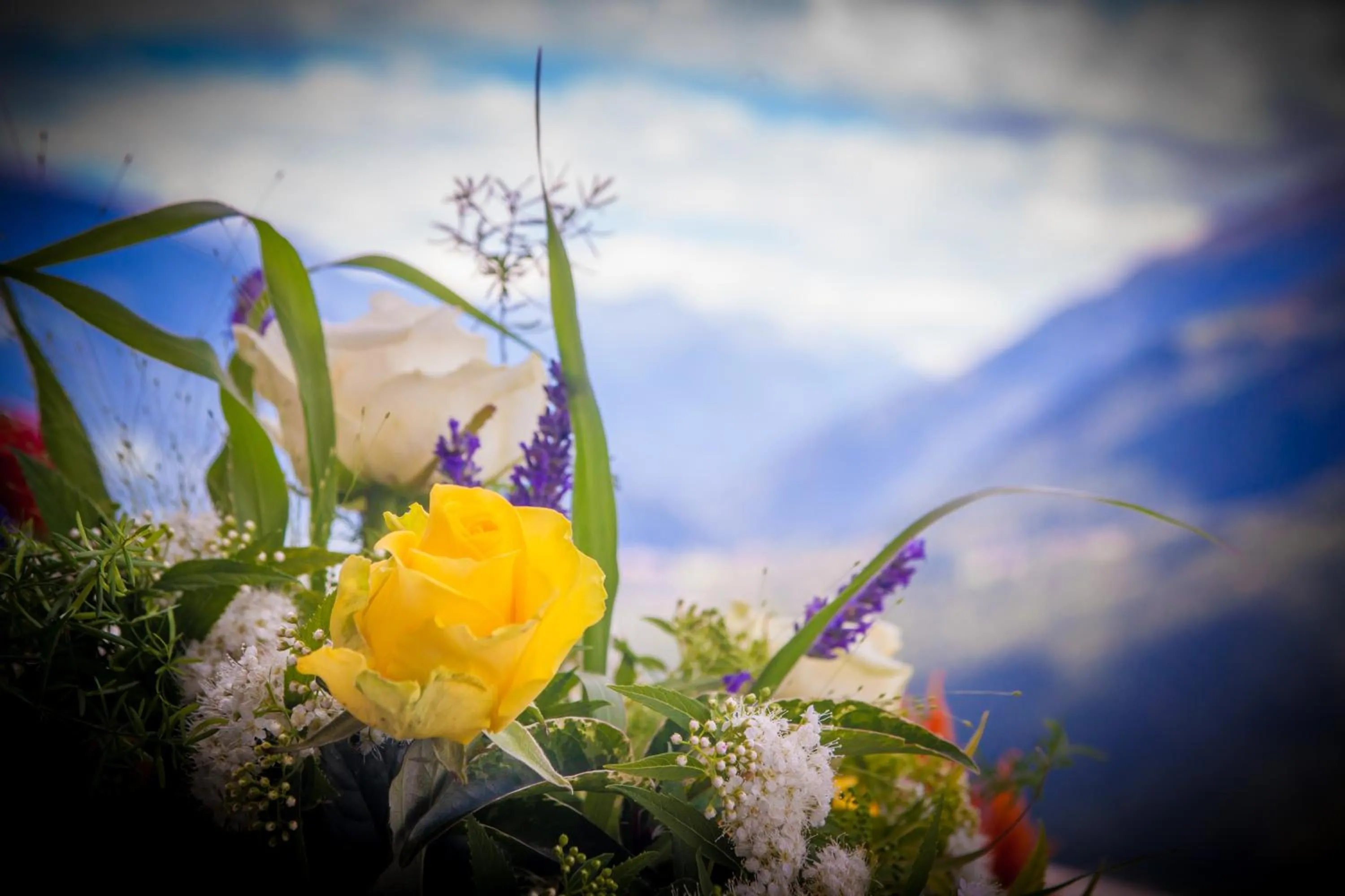 Decorative detail in Appartements Verdinserhöhe