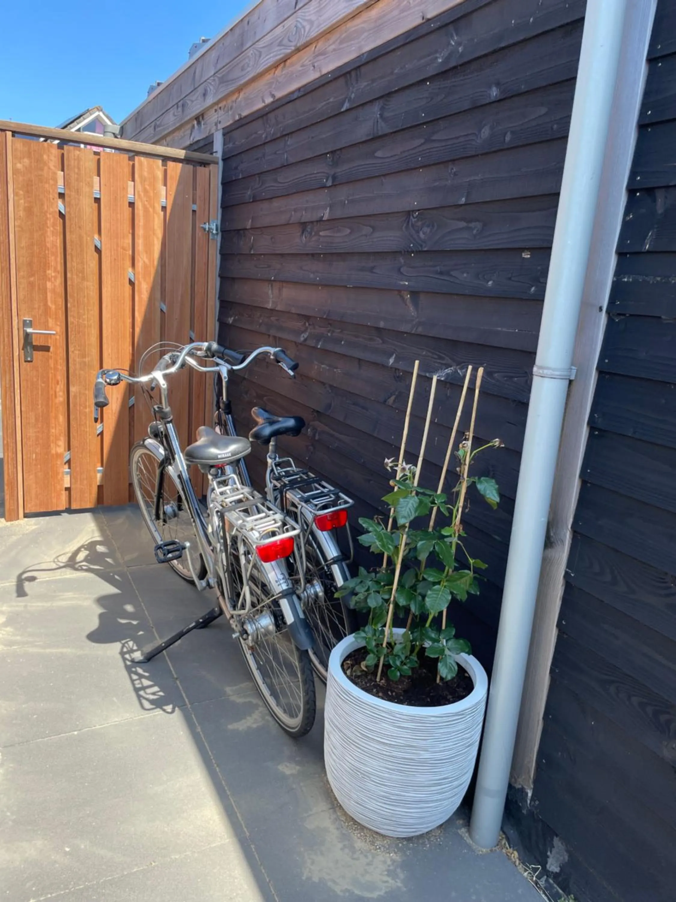 Garden in Bed & Bike Gasthuus Texel