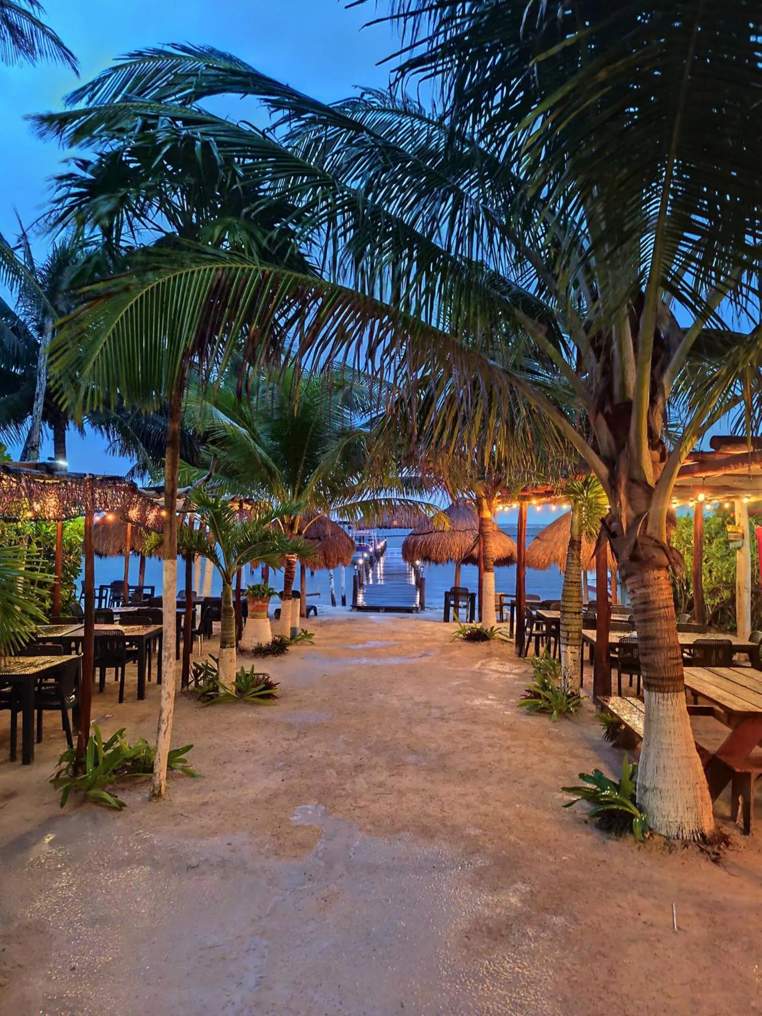 Hotel Machos Mahahual