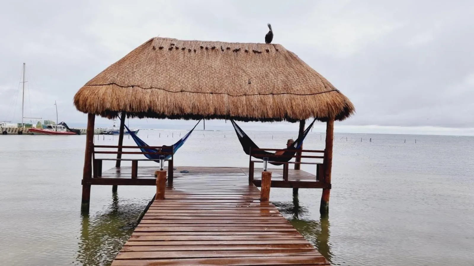 Hotel Machos Mahahual