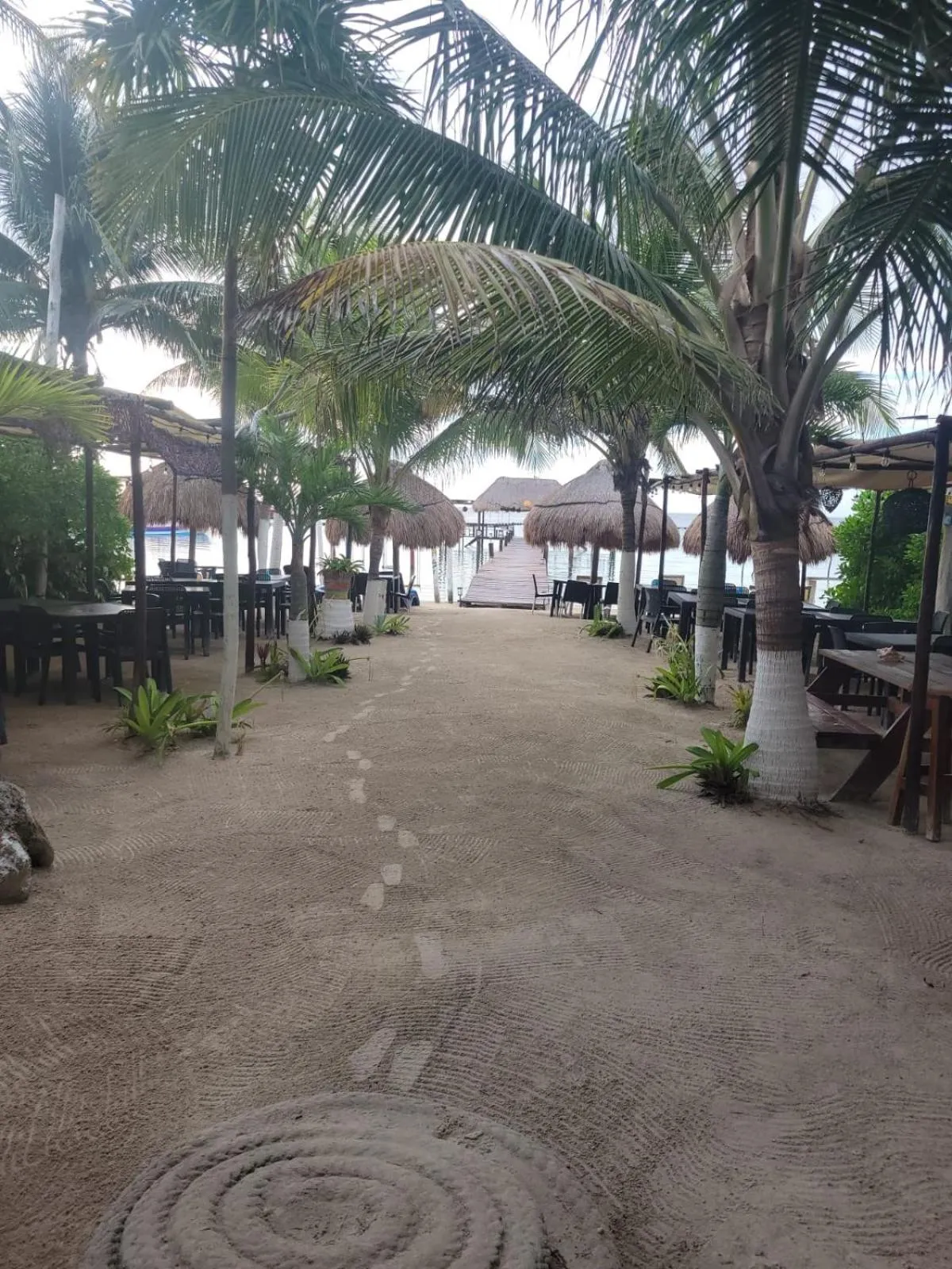 Beach in Hotel Machos Mahahual