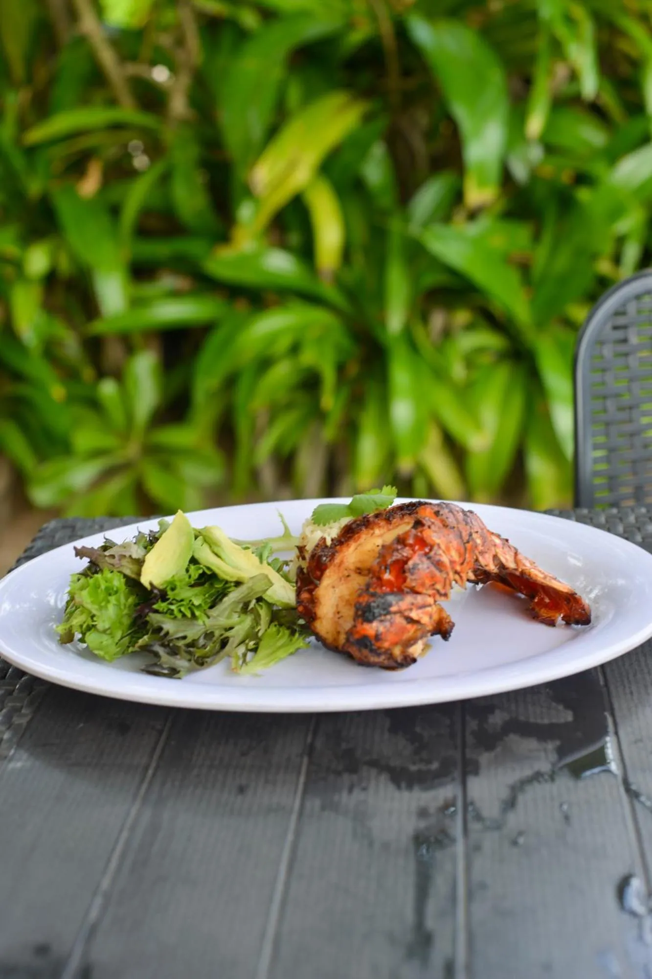 Hotel Machos Mahahual