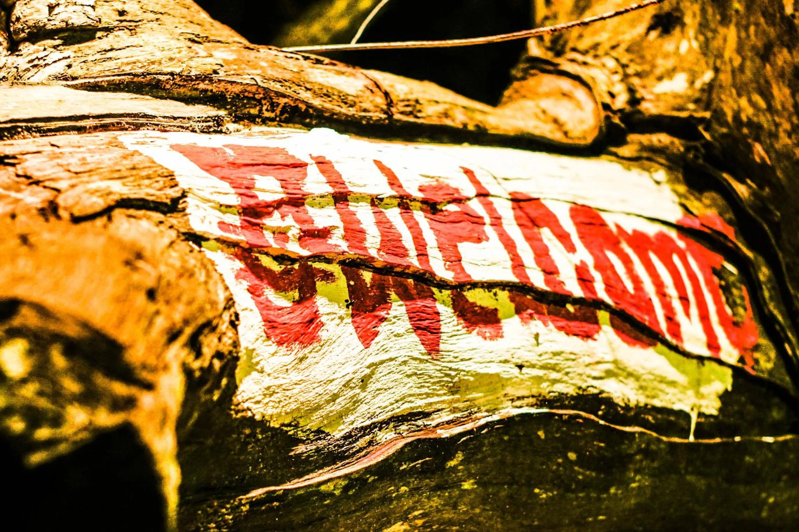 Beach in The Reef Resort