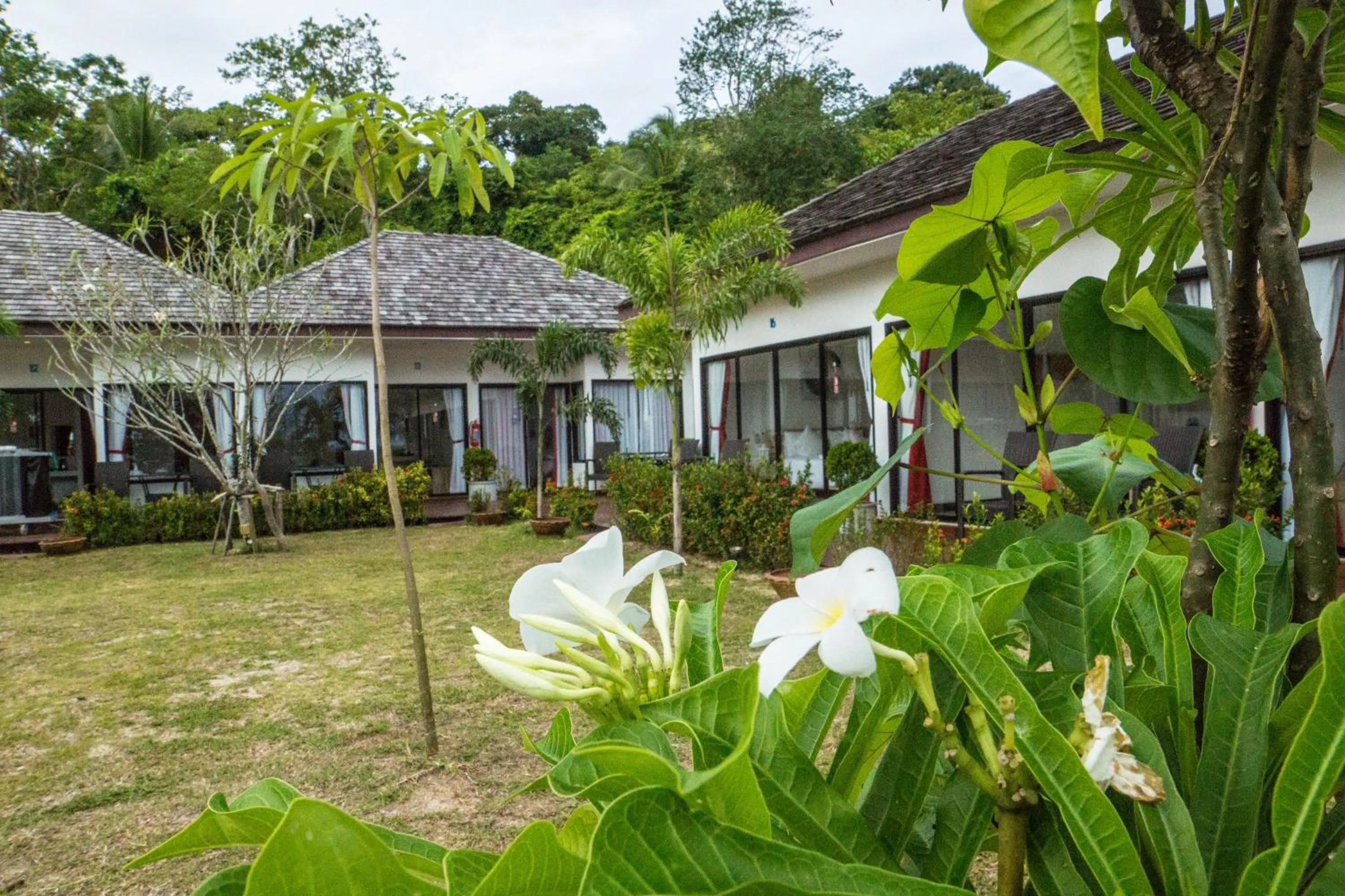 Garden in The Reef Resort