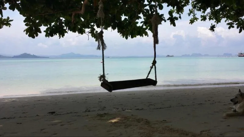 Beach in The Reef Resort