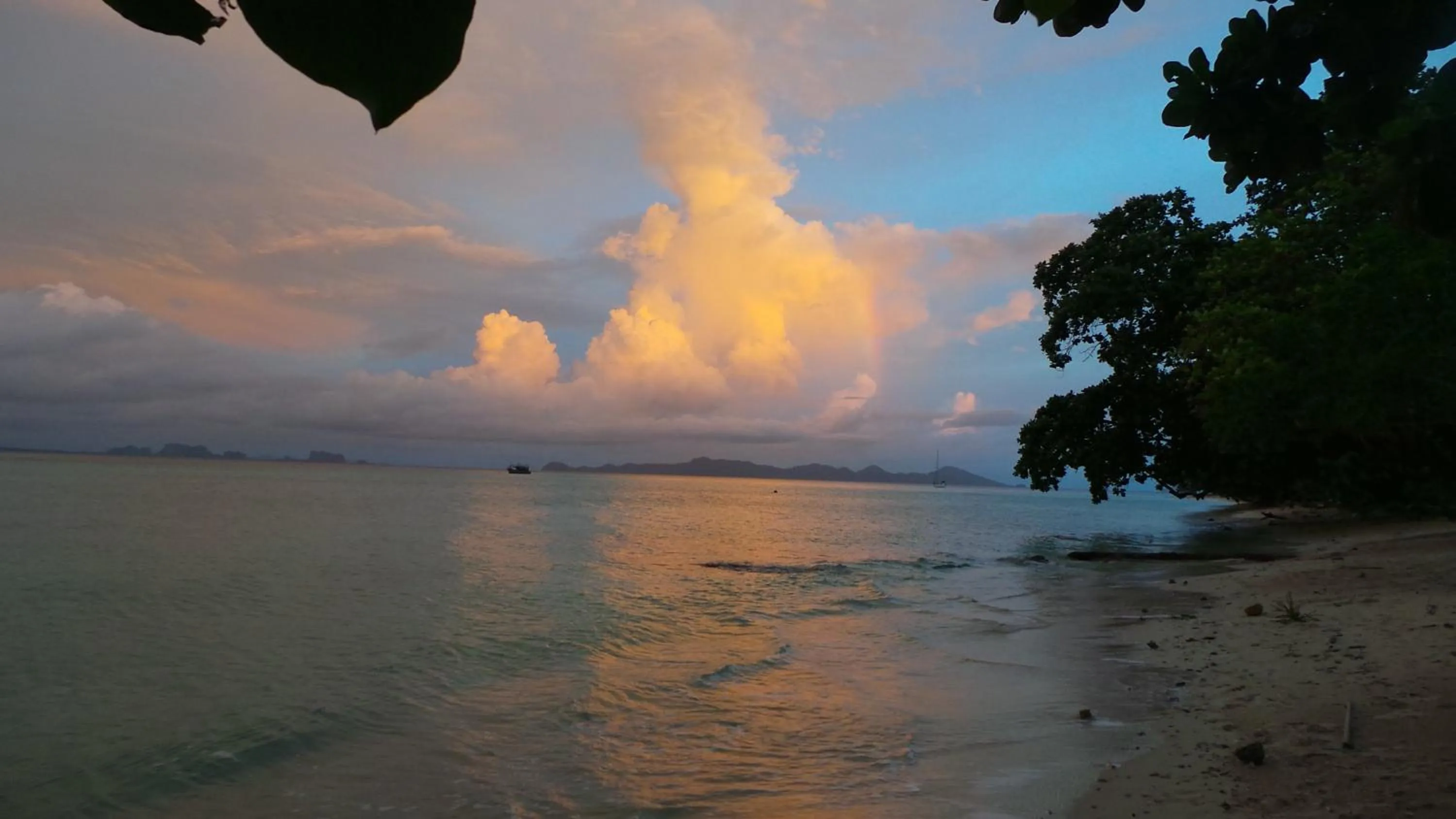 View (from property/room) in The Reef Resort