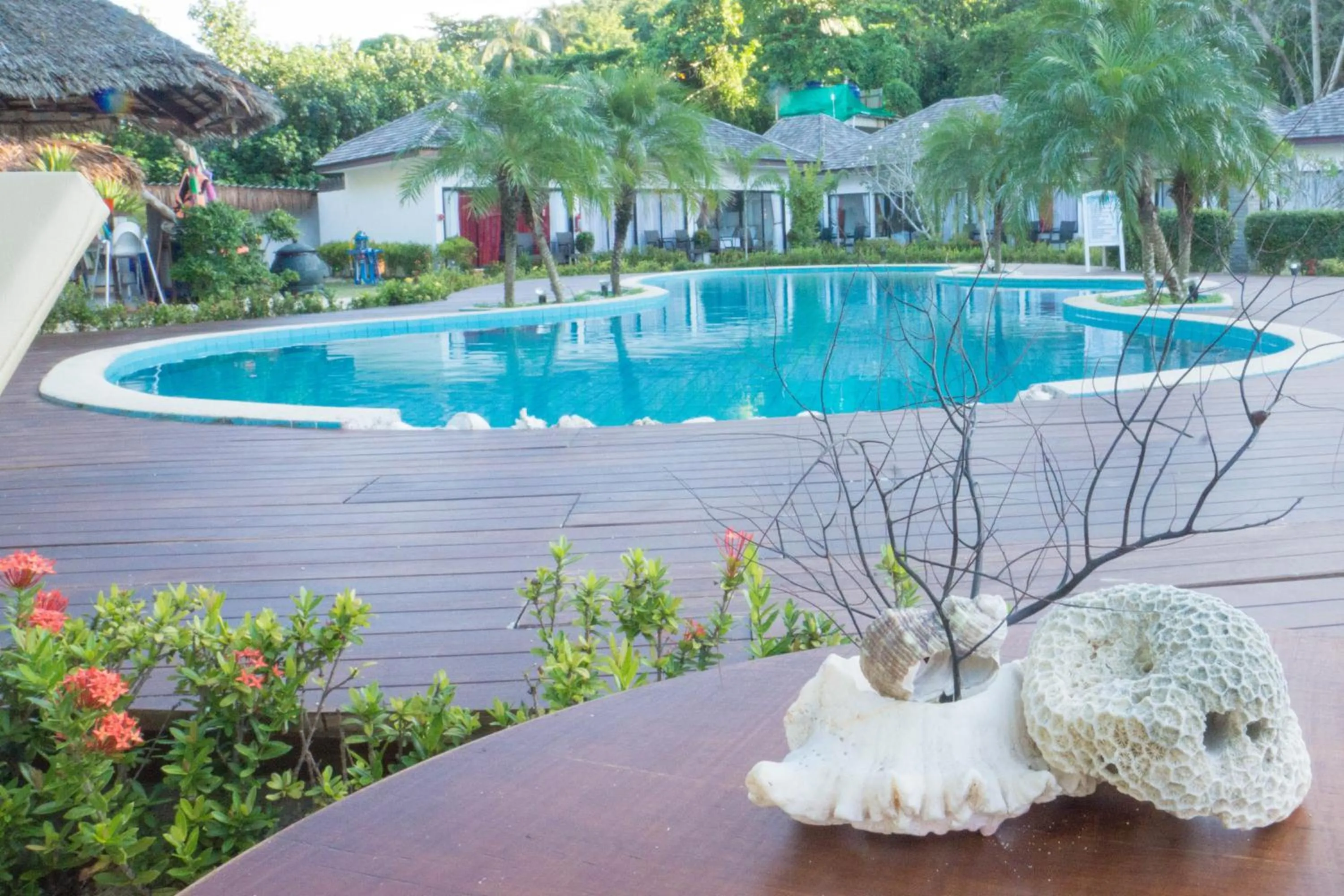 Swimming pool in The Reef Resort