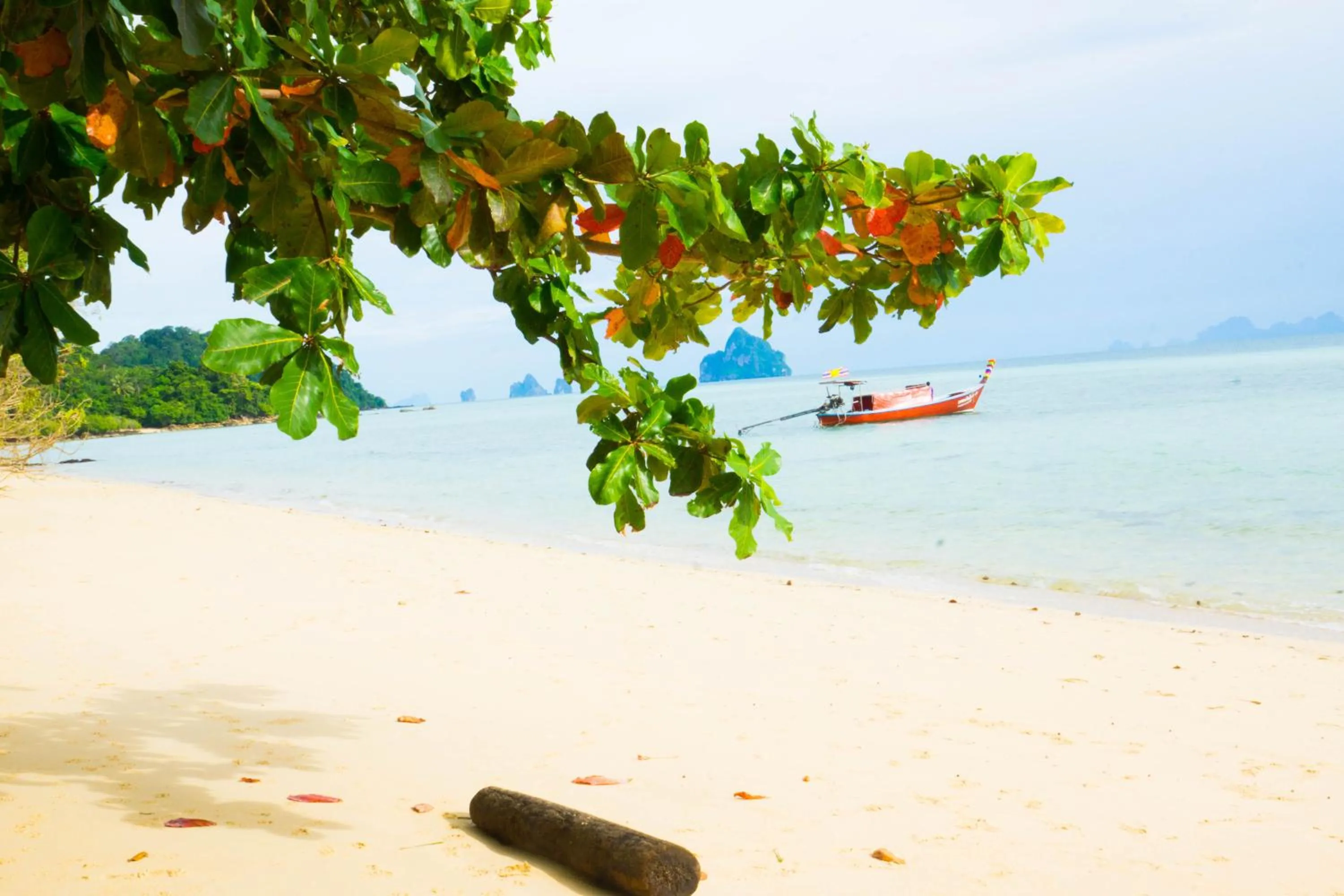 Beach in The Reef Resort