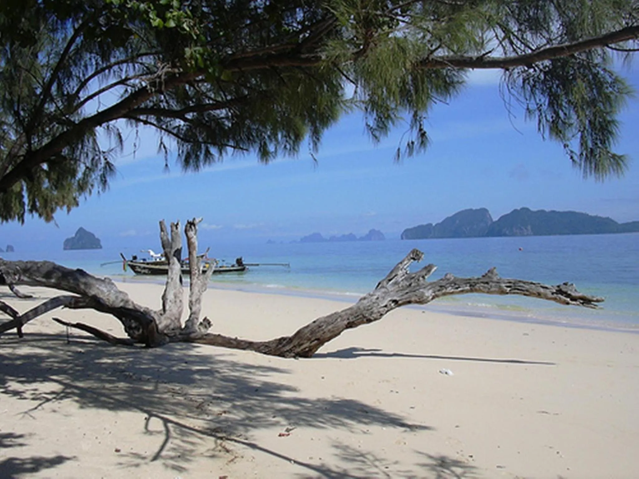 Beach in The Reef Resort
