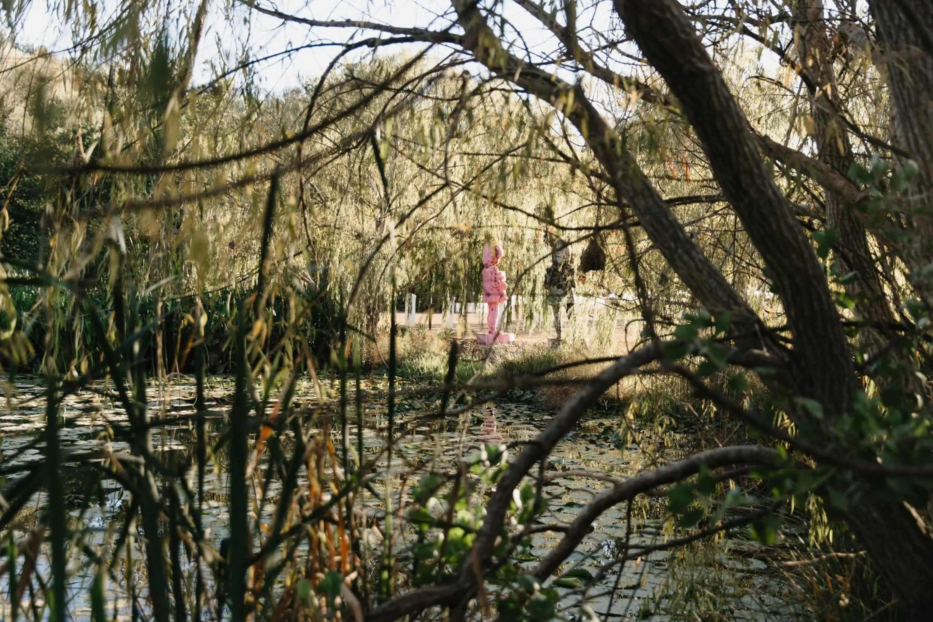 Natural landscape in Weltevreden Estate