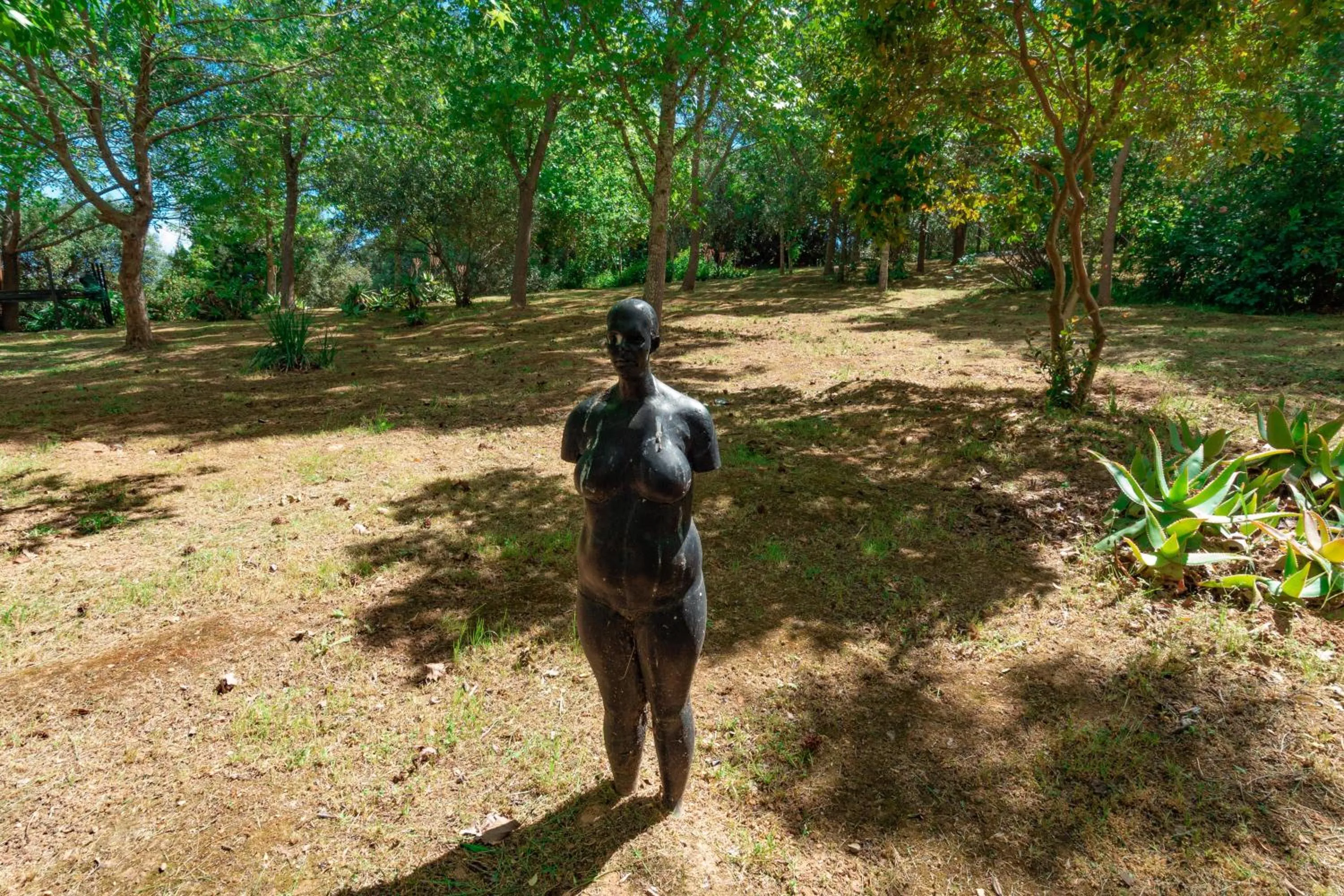 Decorative detail in Weltevreden Estate