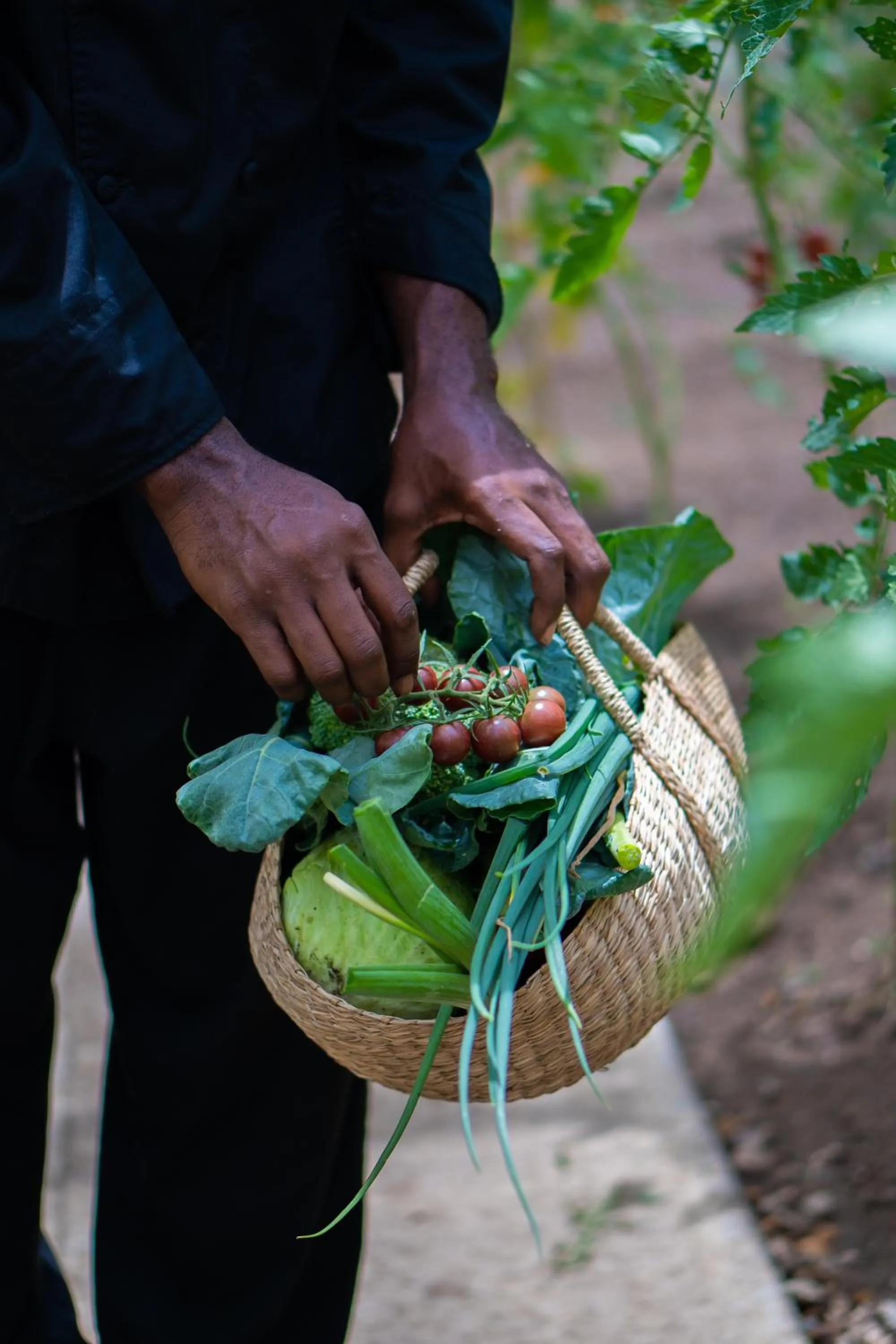 Garden in Golden Rock Dive and Nature Resort