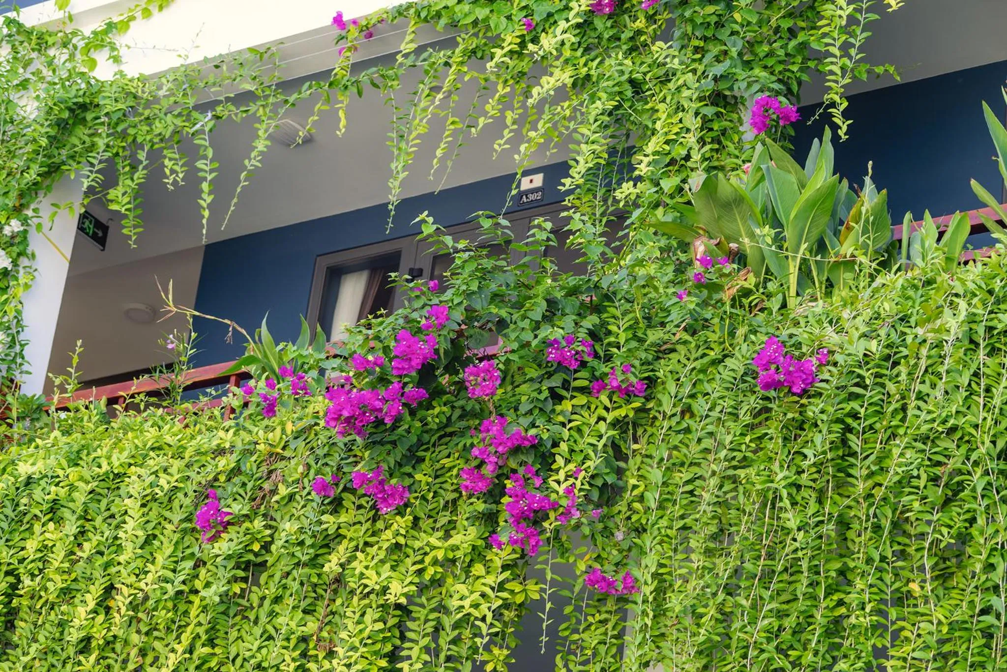 Garden in SHALA BOUTIQUE HOIAN