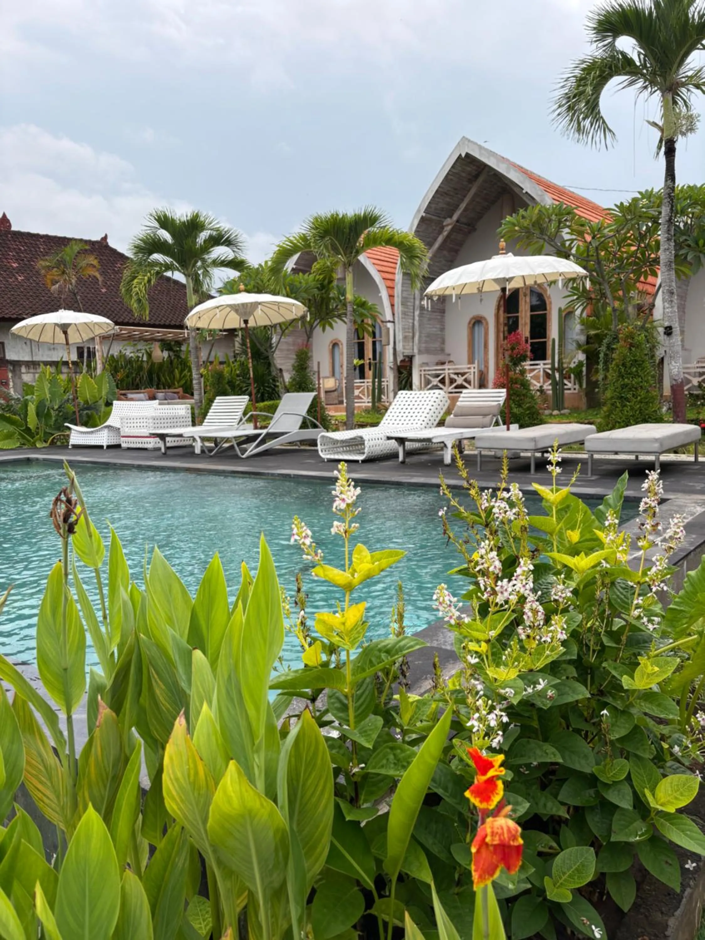 Garden in Daghan Cottage Nusa Penida