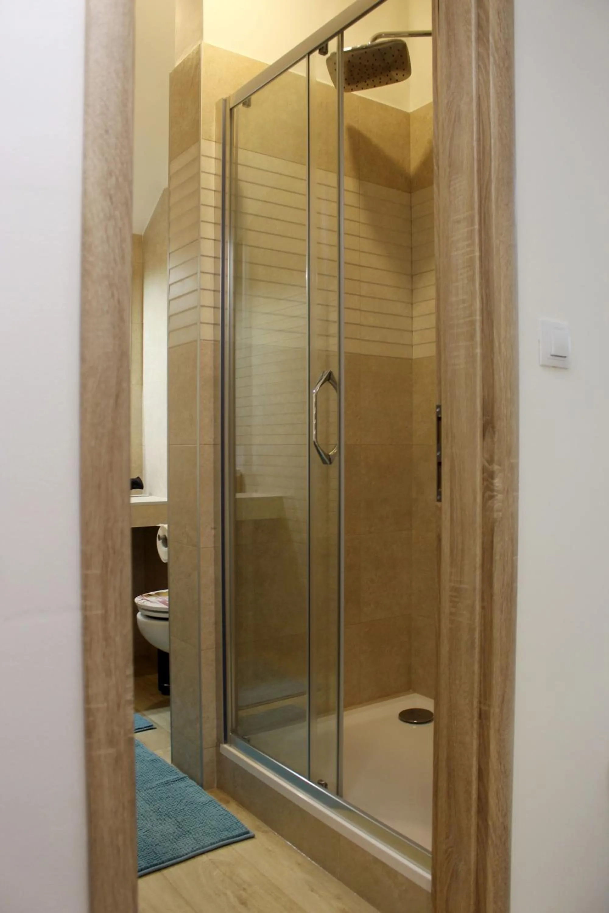 Shower in Apartmány v podhradí