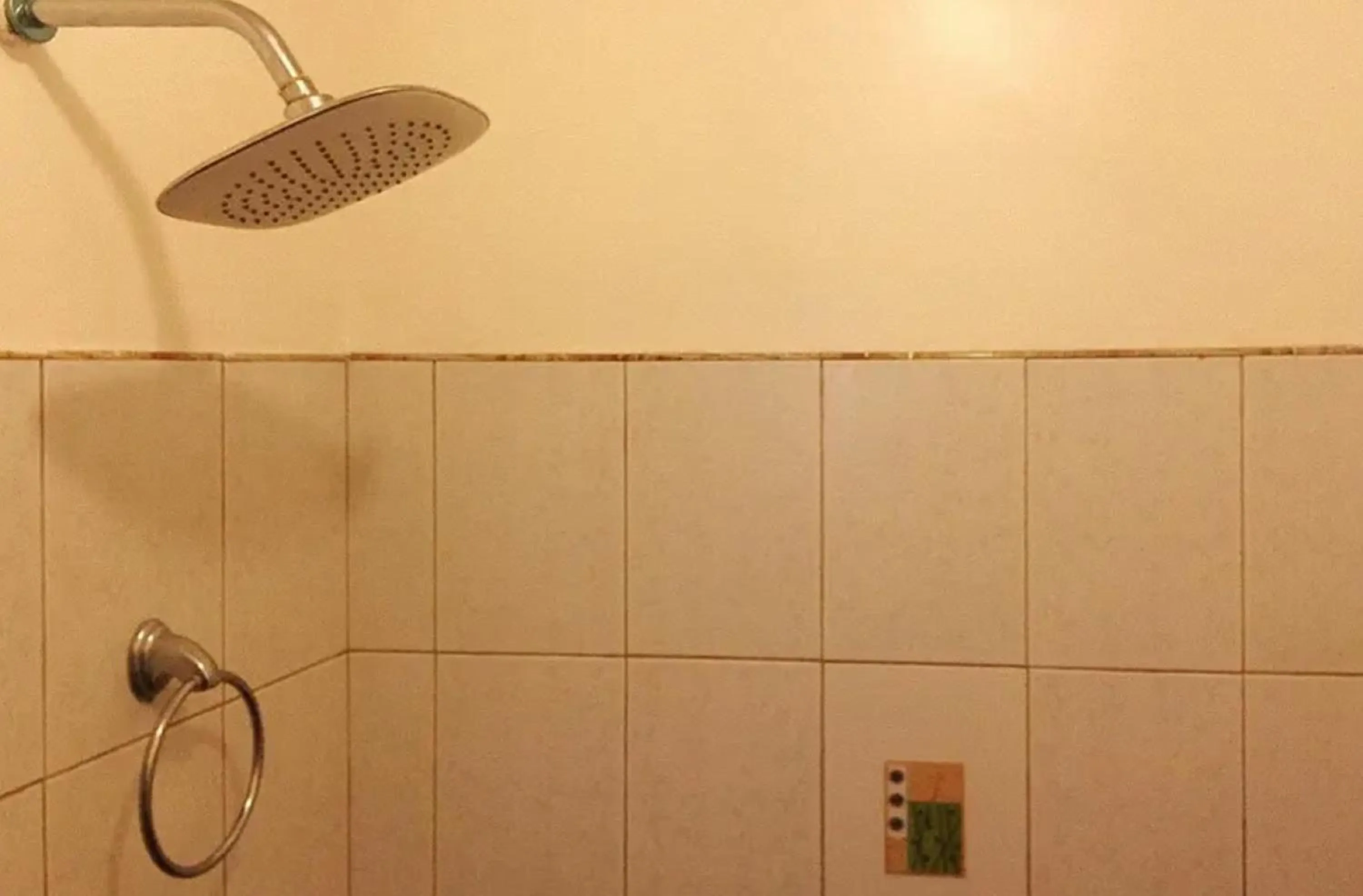 Shower in RedDoorz near Colgante Bridge Naga City