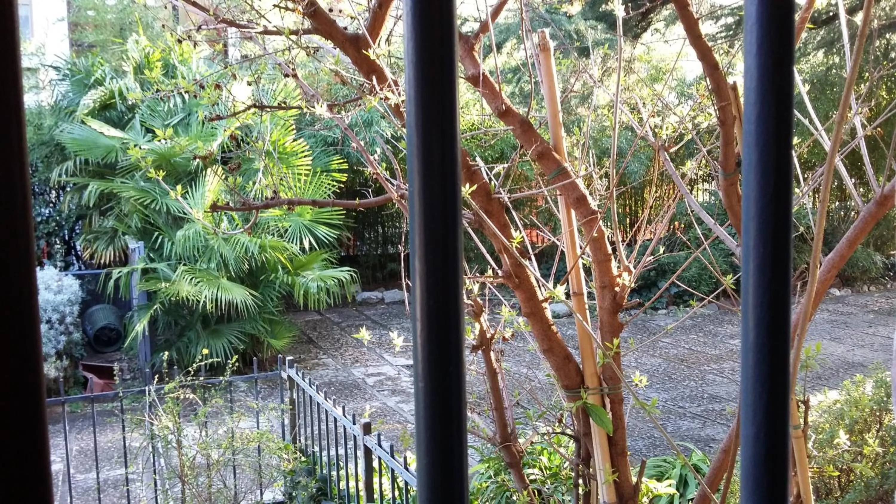 Inner courtyard view in B&B Le Muse