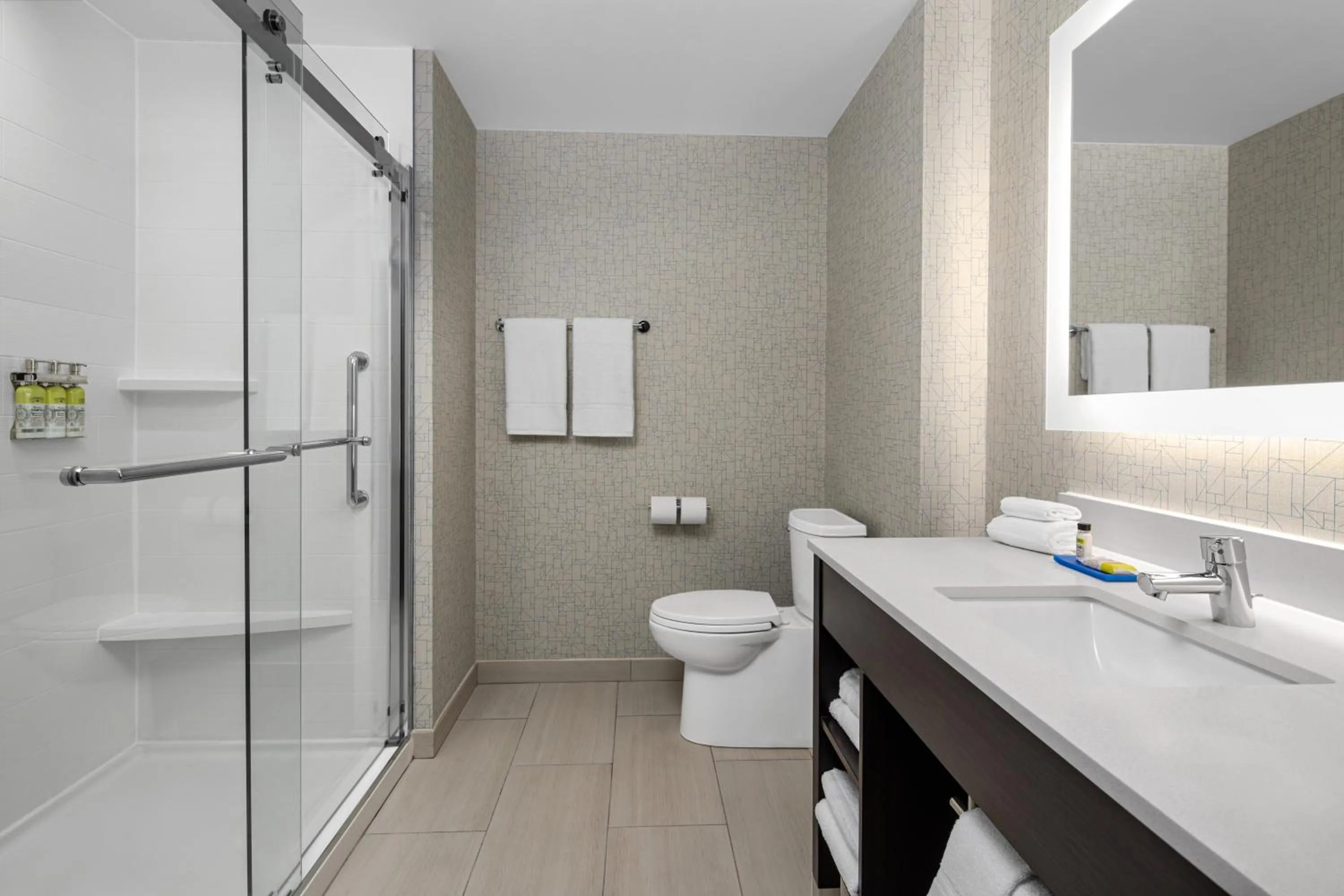 Toilet in Holiday Inn Express & Suites Woodside LaGuardia Airport