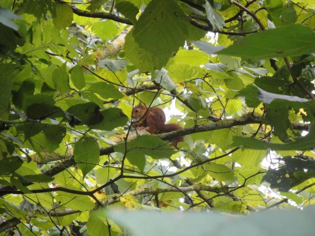 Spring in Maison Vérosia