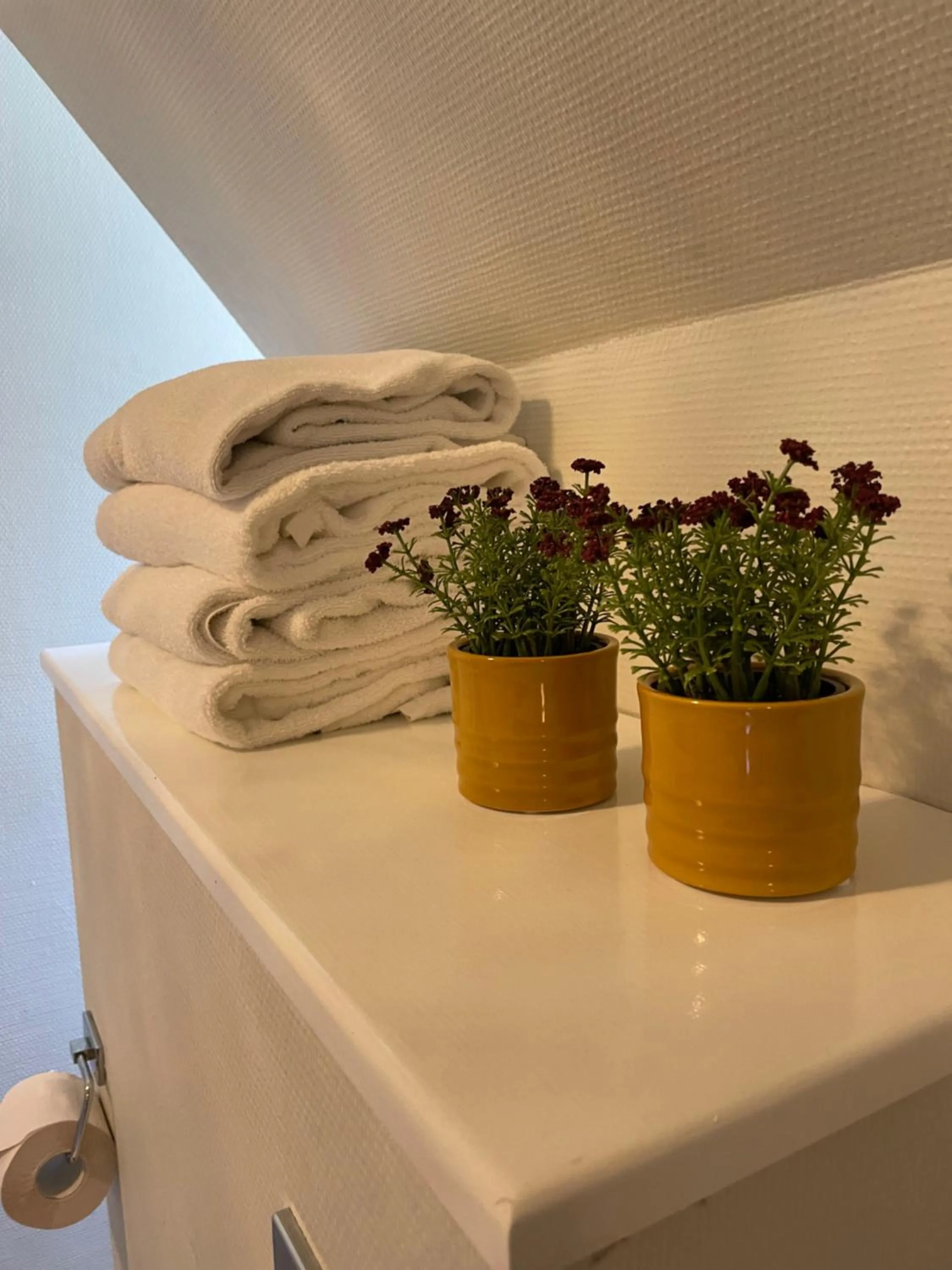 Bathroom in Forvalterboligen