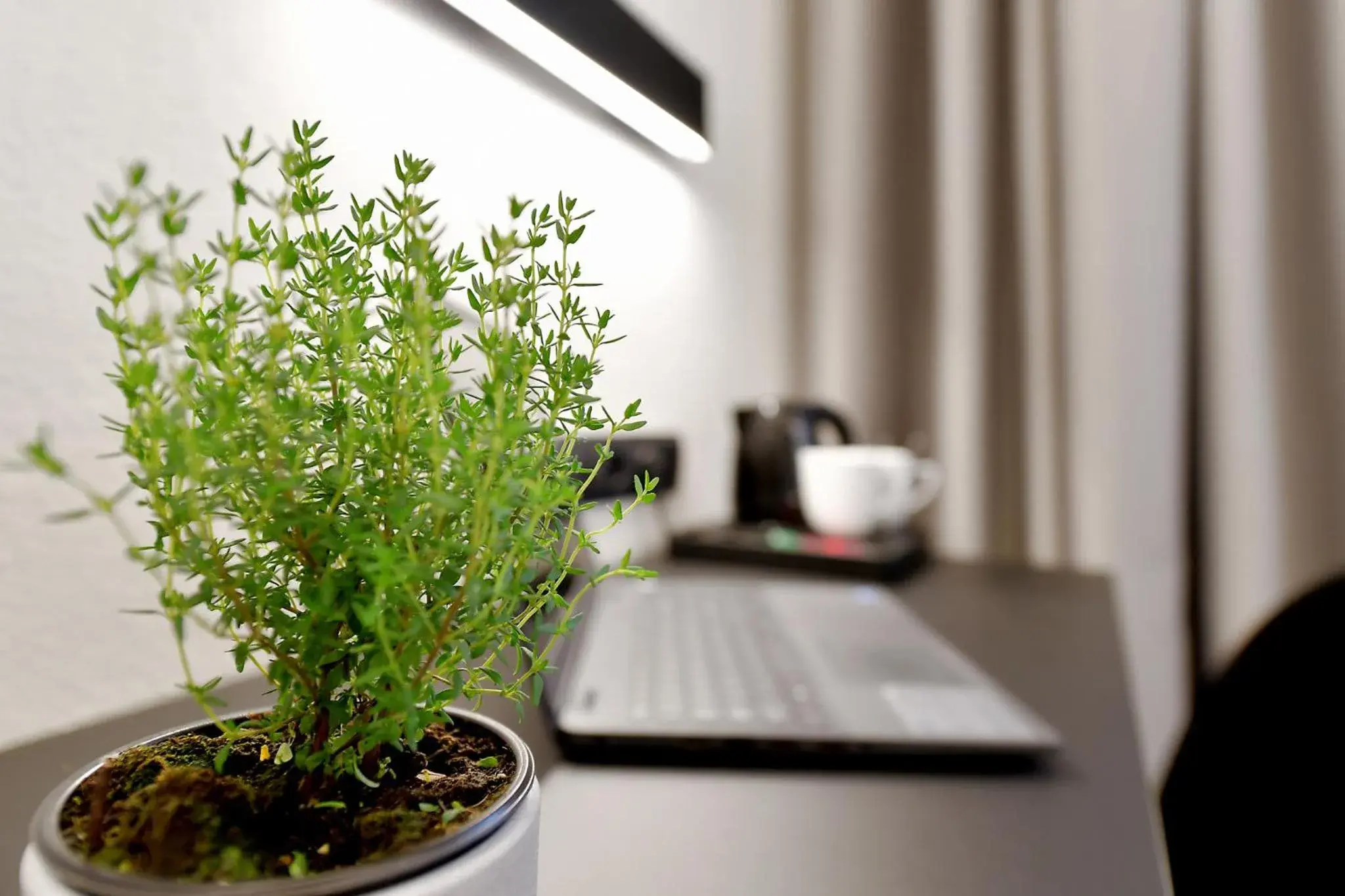 Standard Twin Room in Herbal Hotel Wrocław Standard Twin Room in Herbal Hotel Wrocław