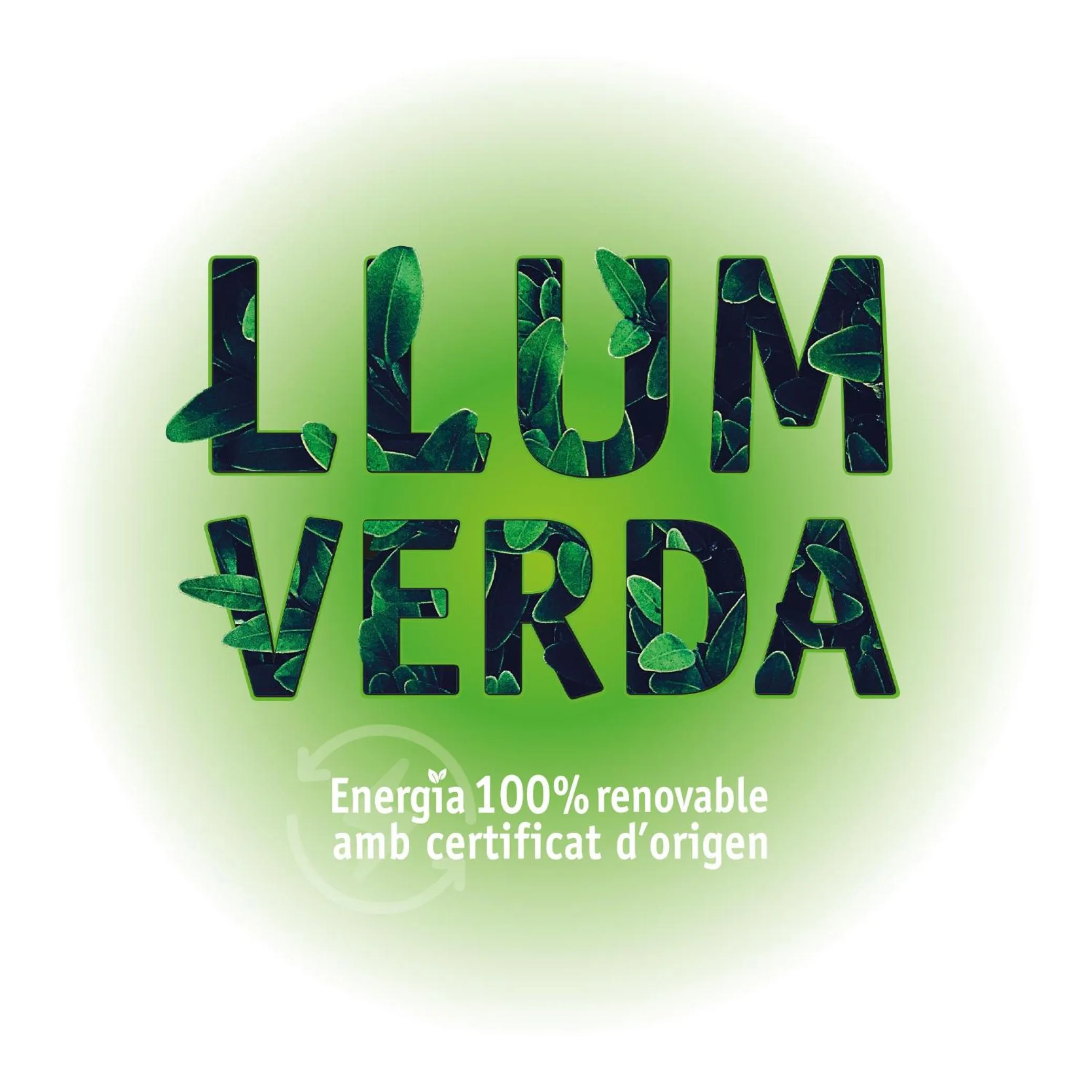 Certificate/Award in Apartaments Turístics Conseller