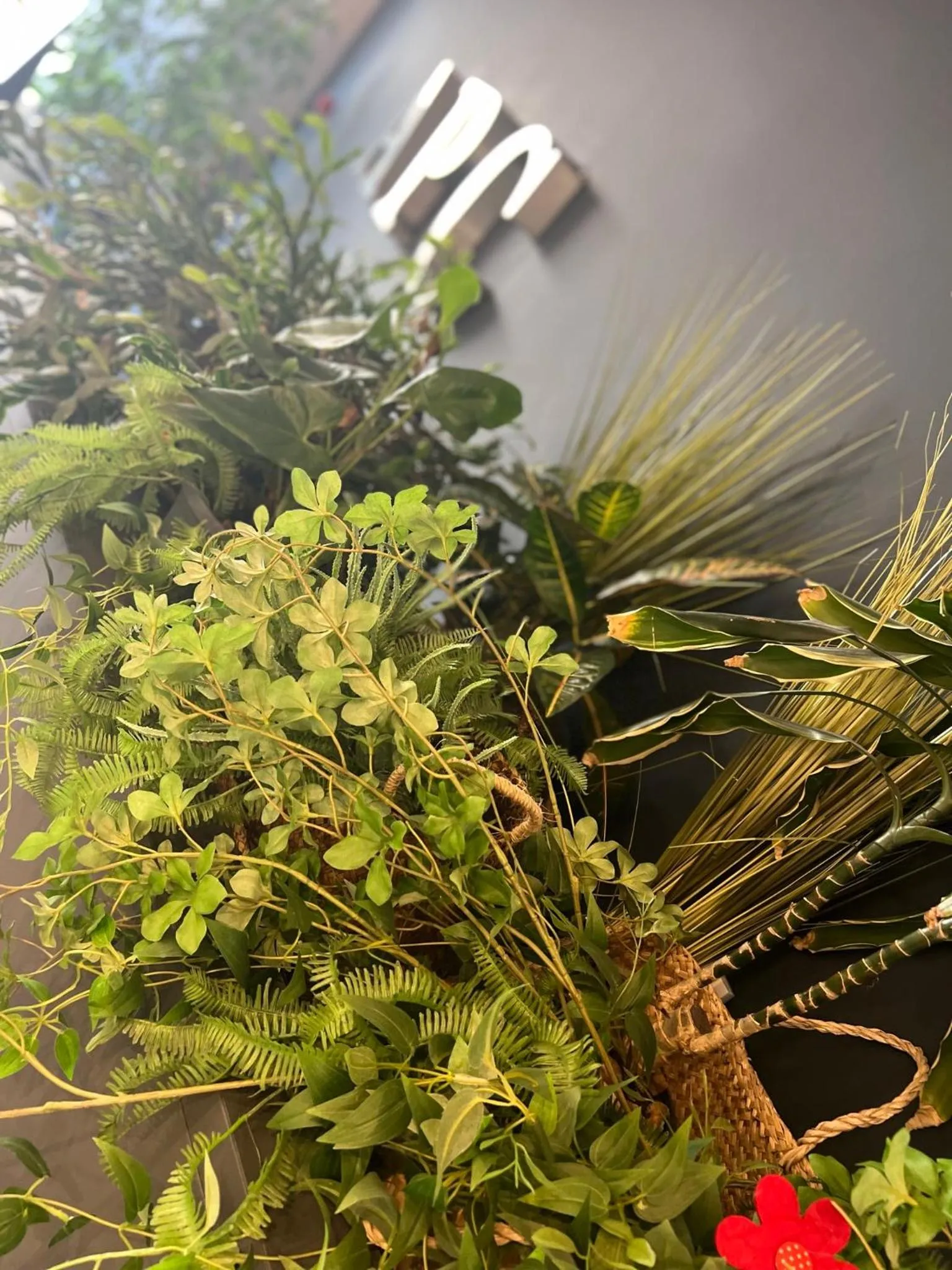 Lobby or reception in Apartaments Turístics Conseller