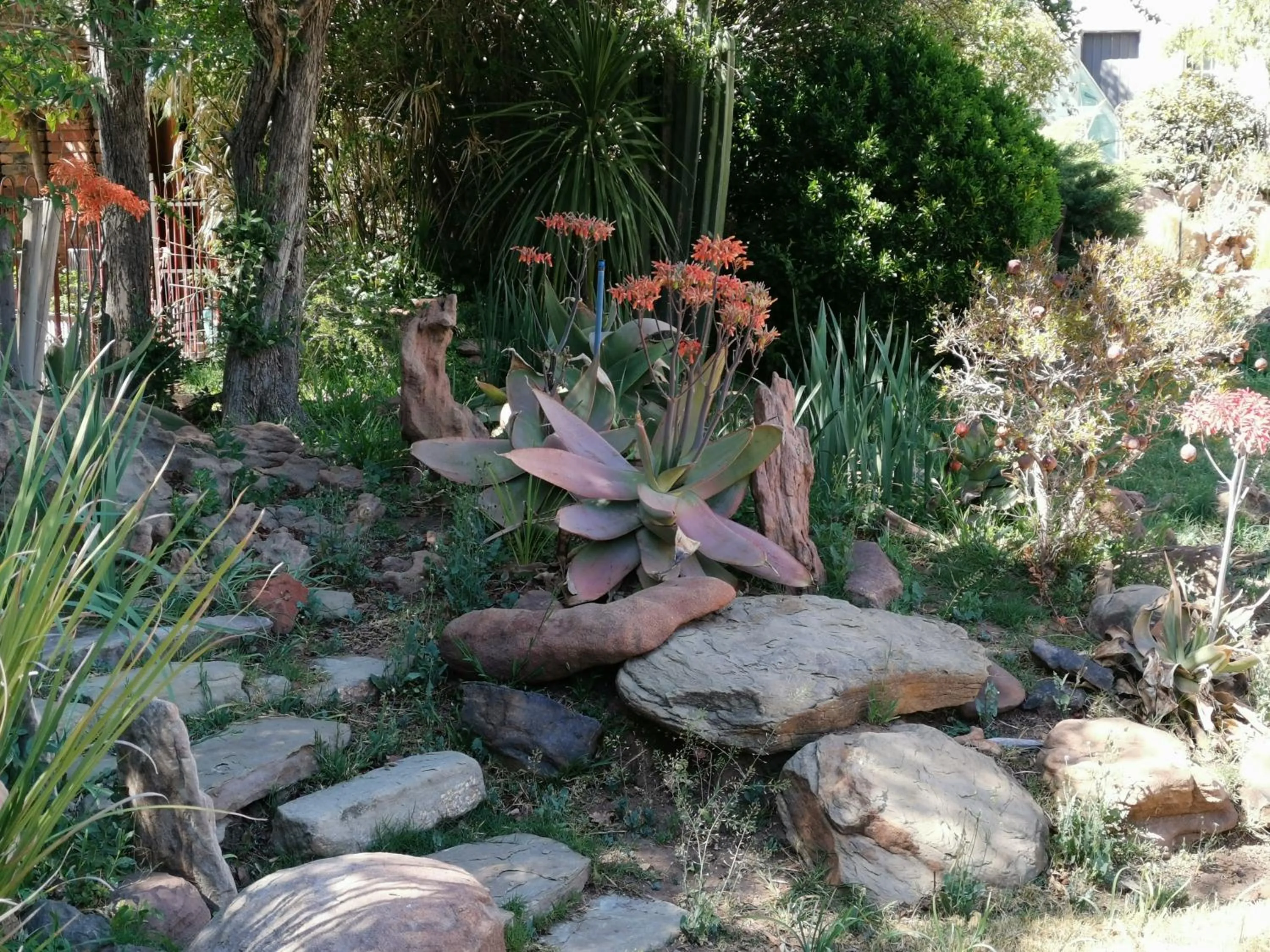 Lucolo Palace B&B Aliwal North