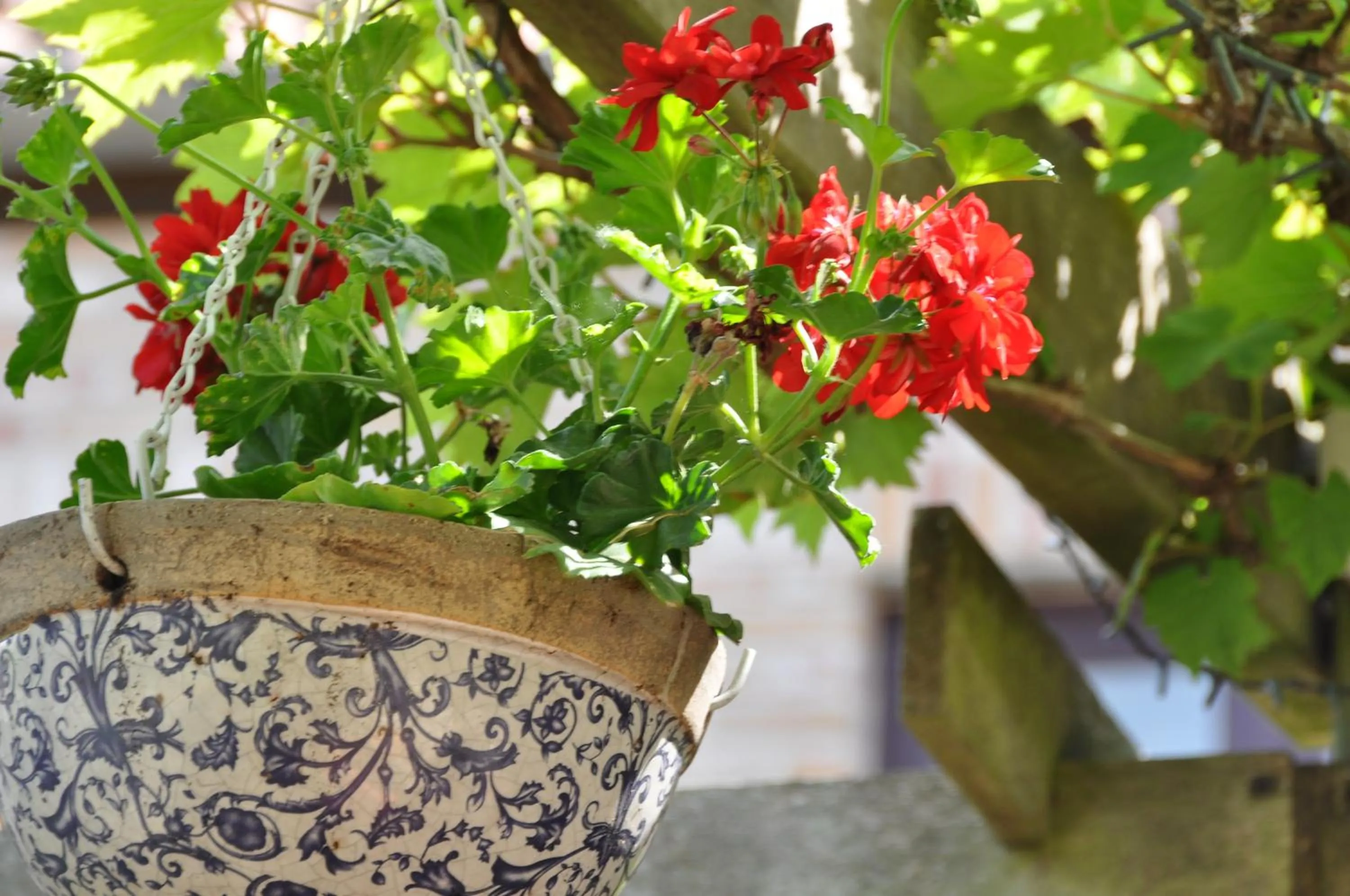 Garden in B&B Bella en Basiel