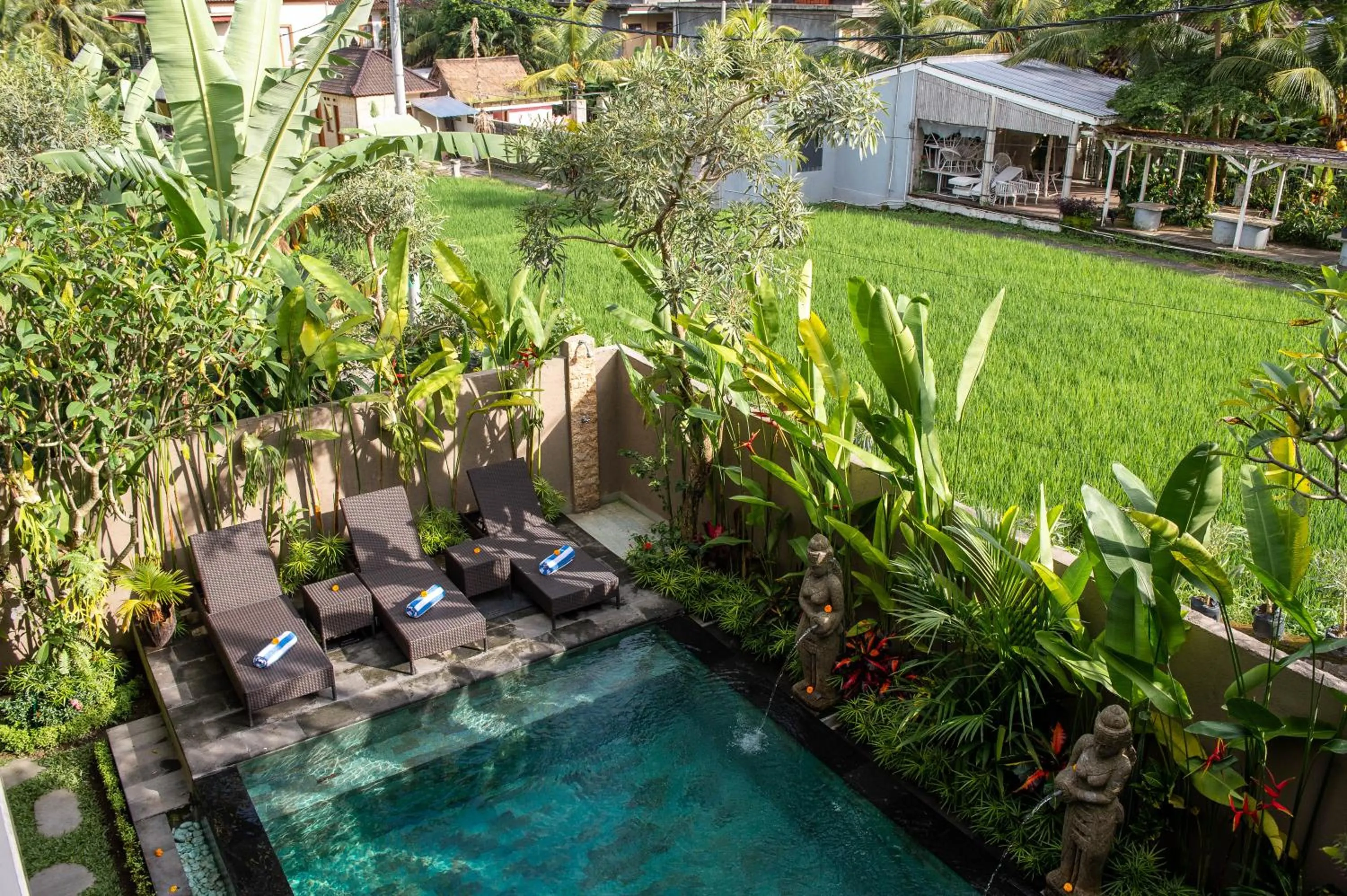 Swimming pool in Villa Semujan Ubud