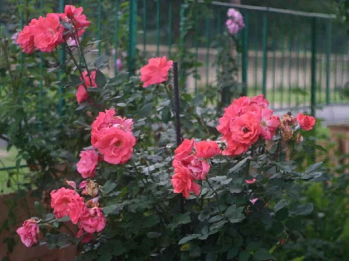 Property building in MS Self-Catering