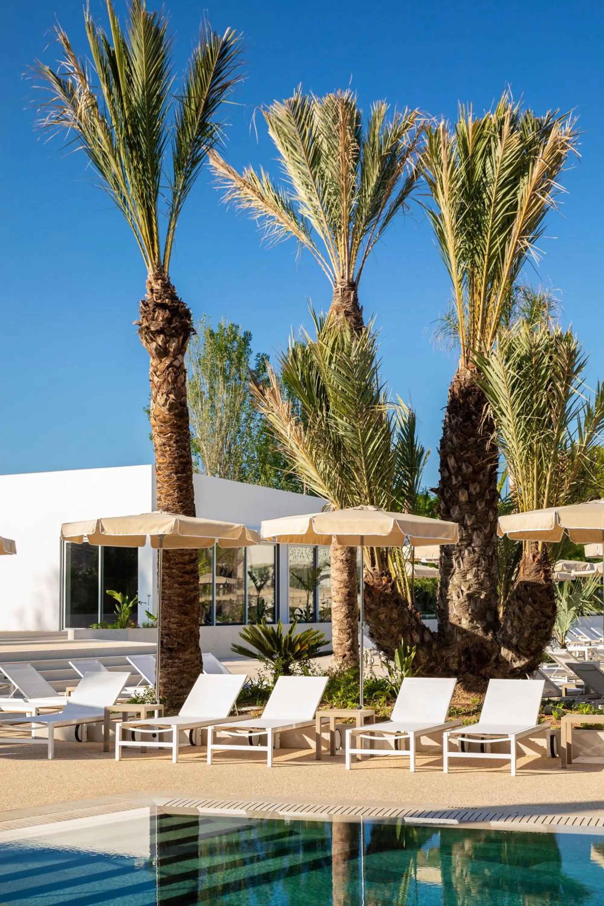 Swimming pool in Atzavara Hotel & Spa