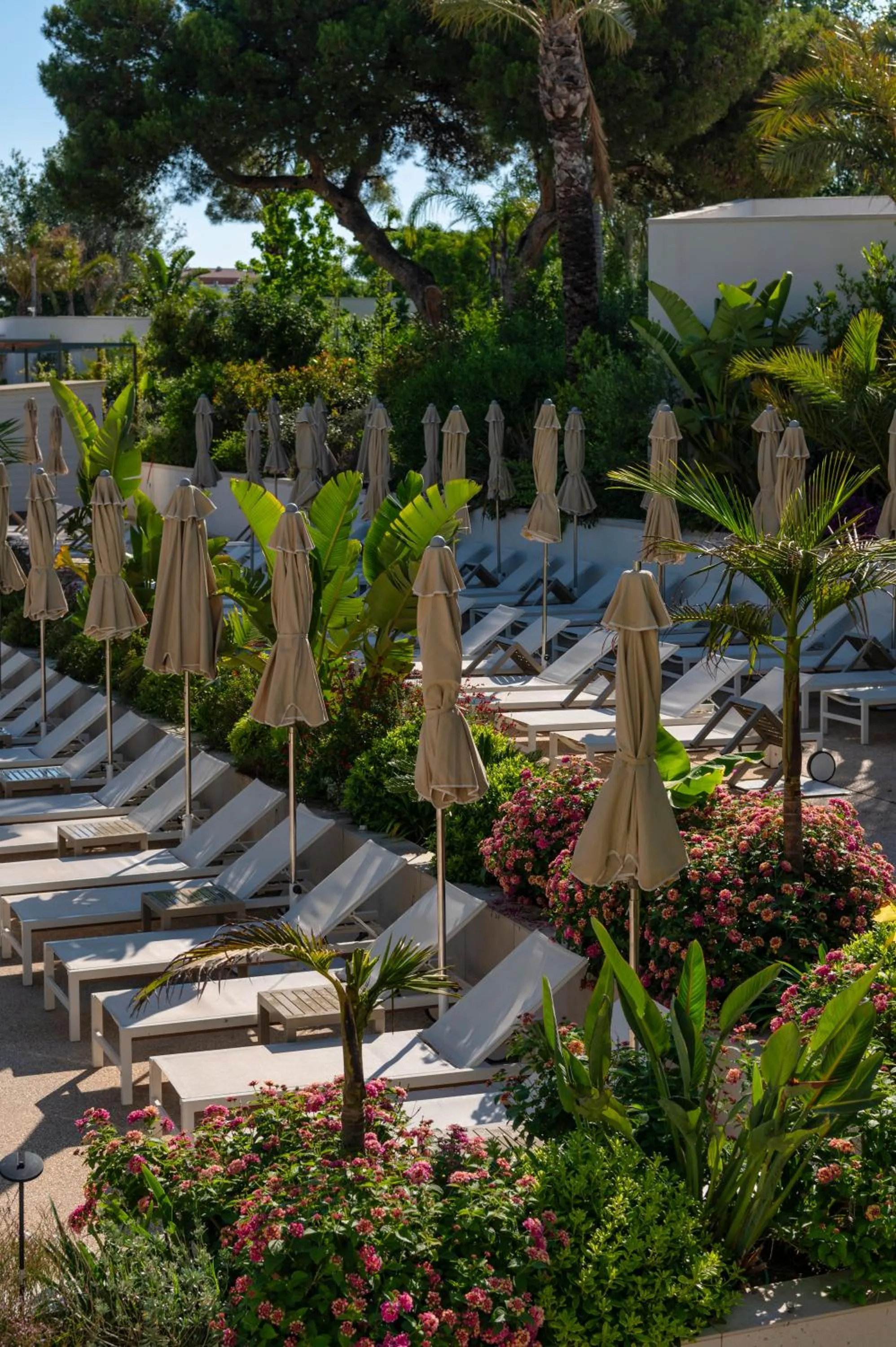 sunbed in Atzavara Hotel & Spa