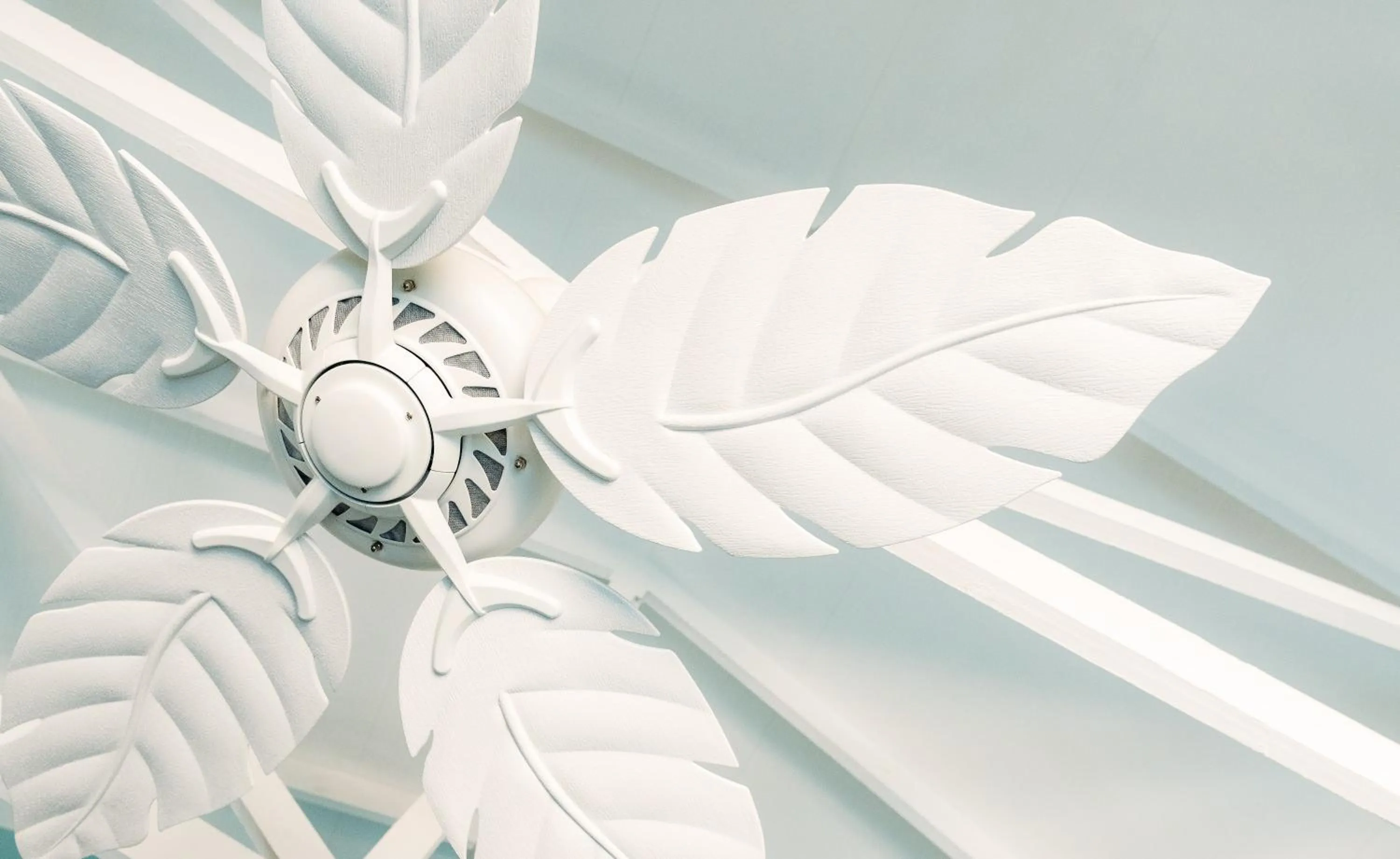 Safari Moon Luxury Bush Lodge