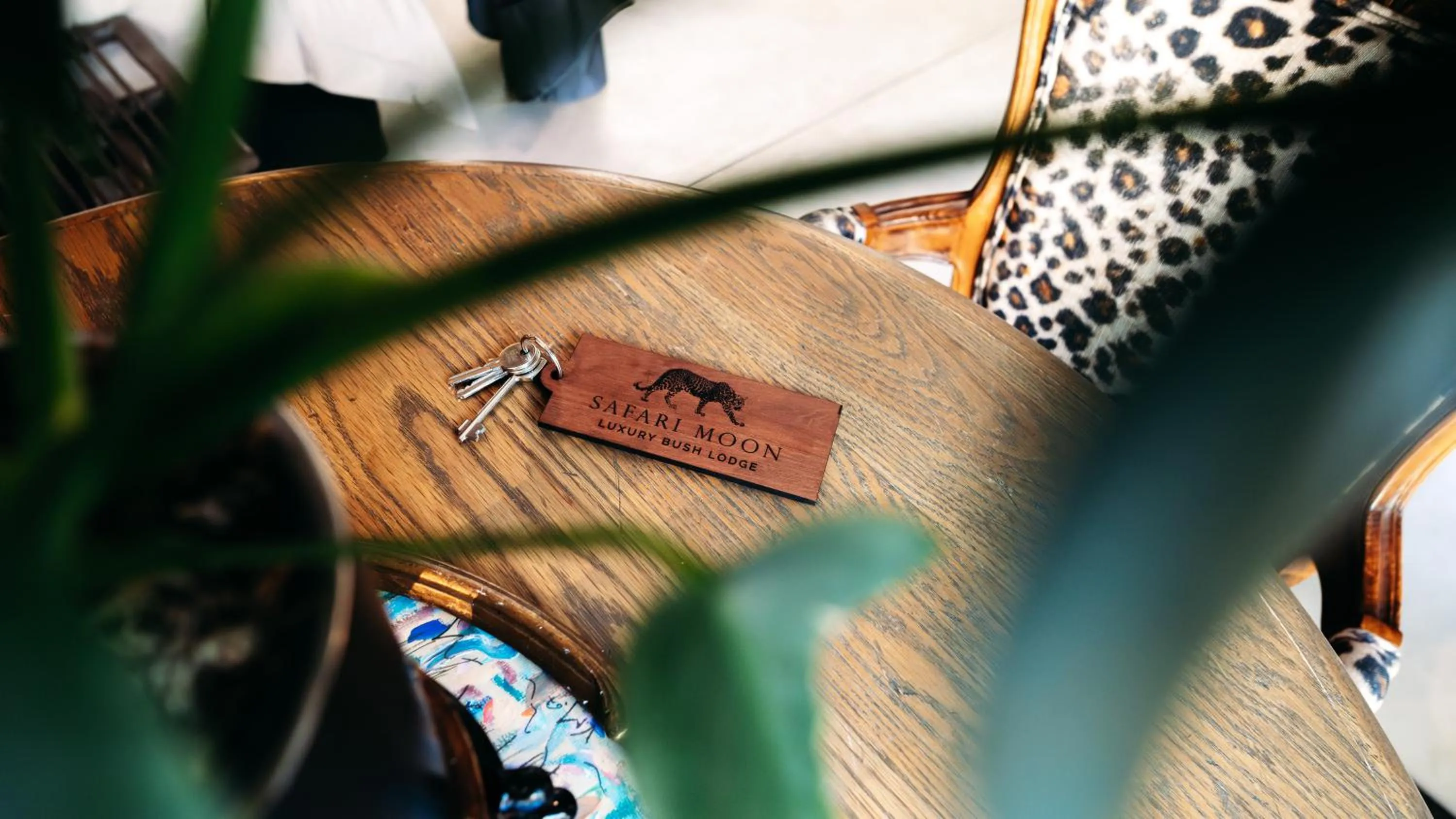 Property logo or sign in Safari Moon Luxury Bush Lodge