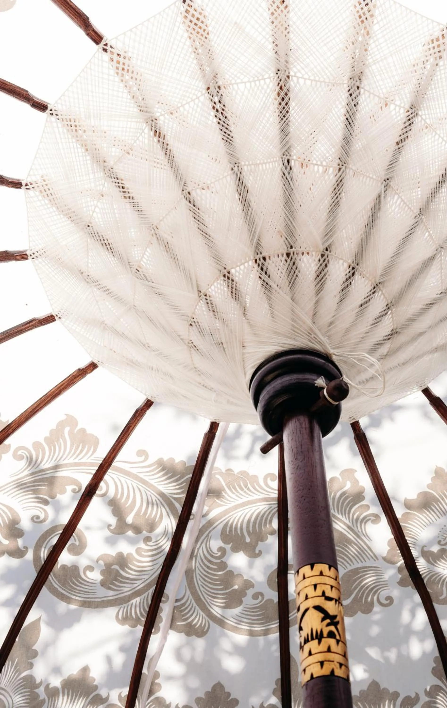 Safari Moon Luxury Bush Lodge