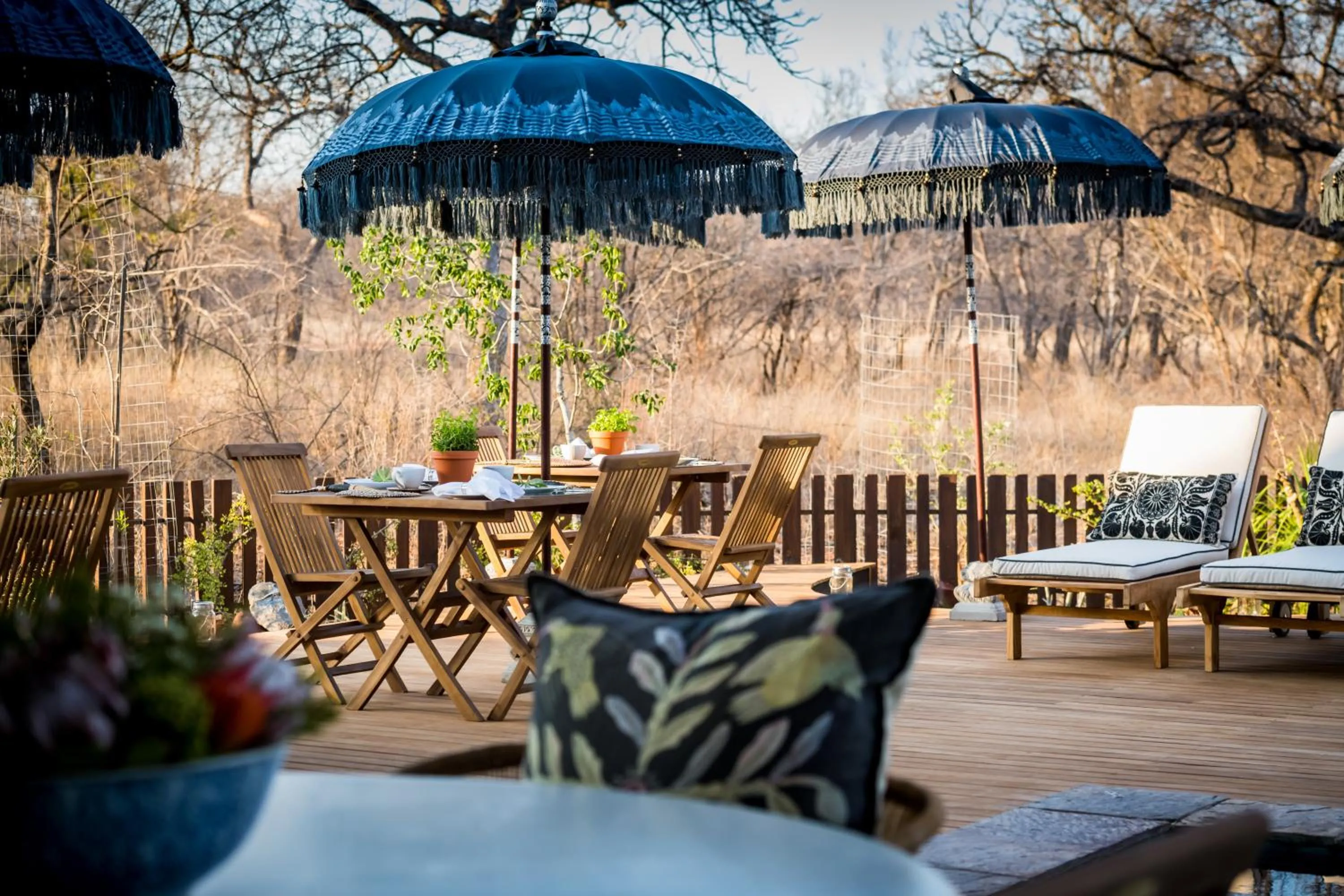 Breakfast in Safari Moon Luxury Bush Lodge