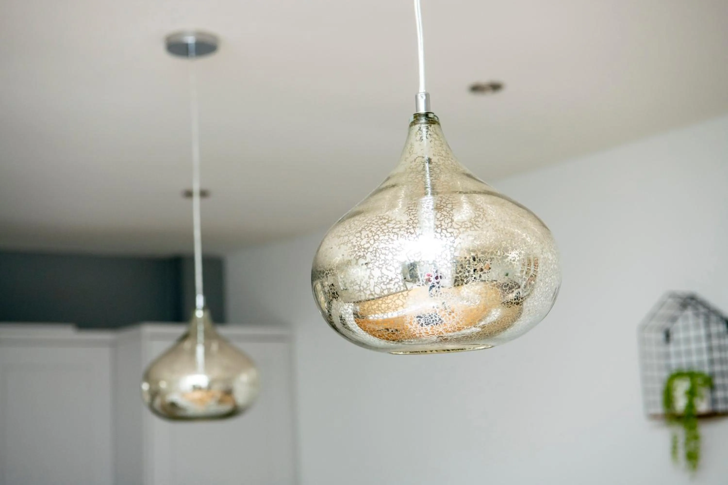 Other in North Lodge