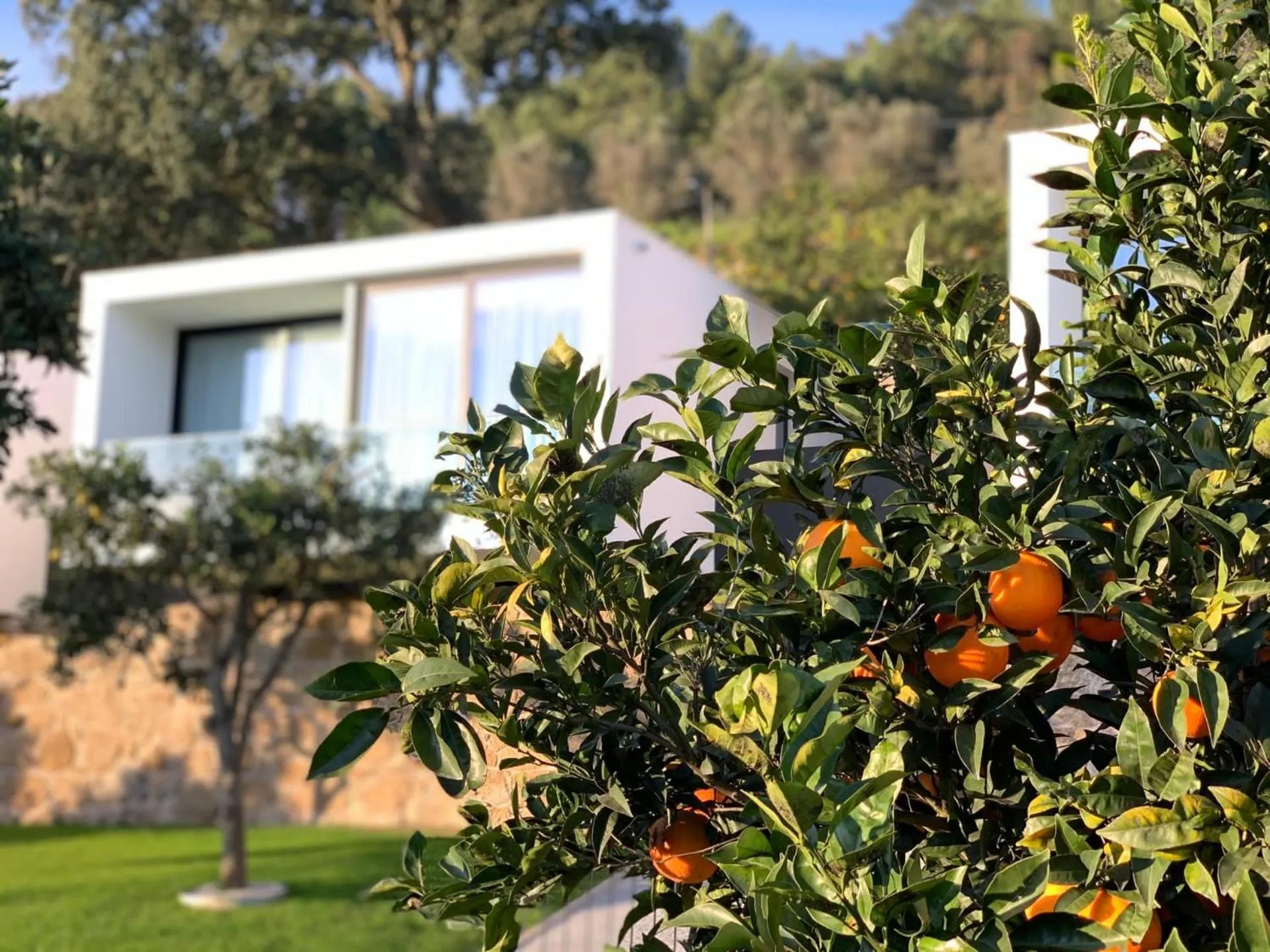 Portovella Lodges & Bungalows