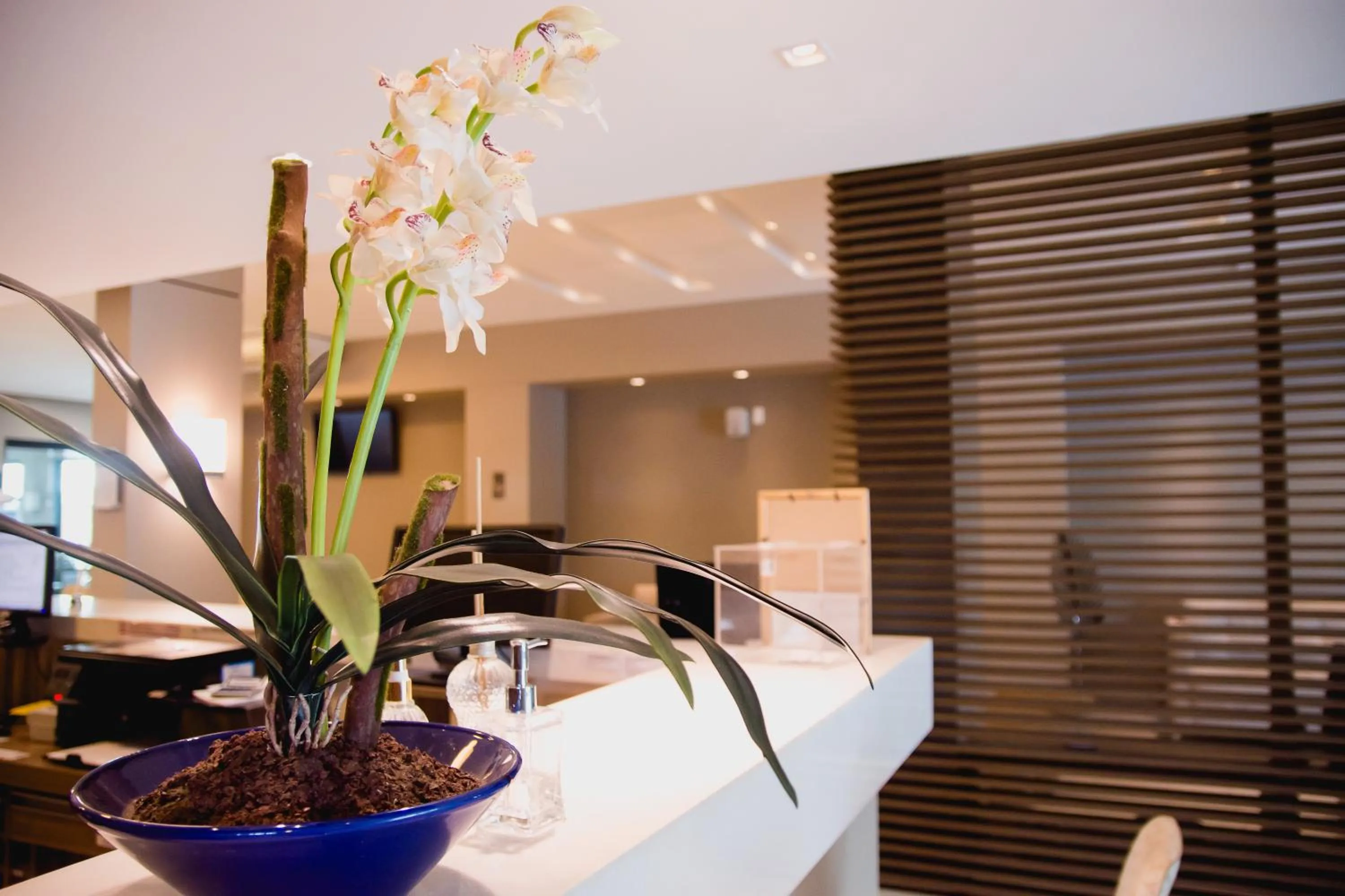 Lobby or reception in Class Hotel Pouso Alegre