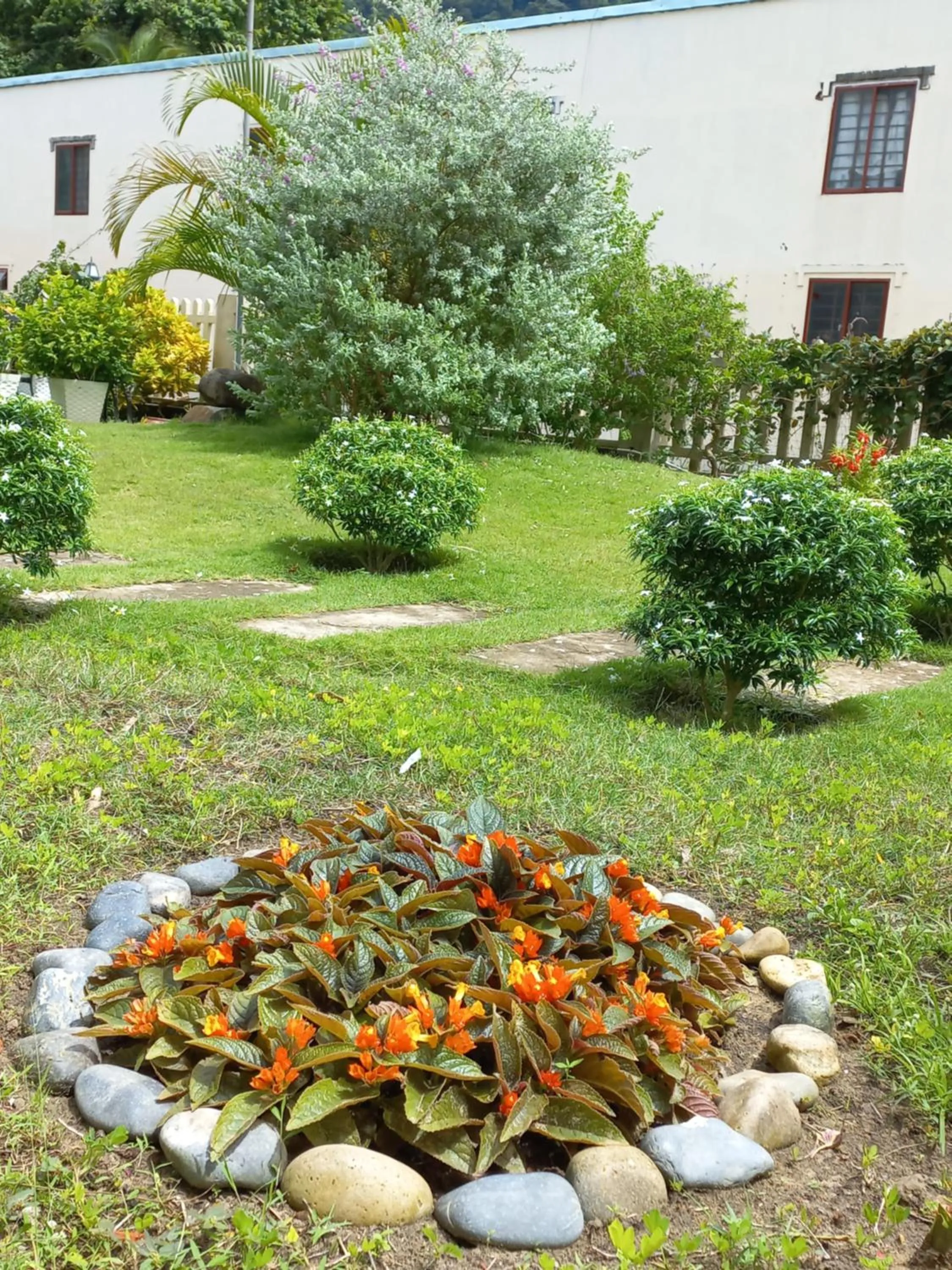 Garden in Garden House Côn Đảo