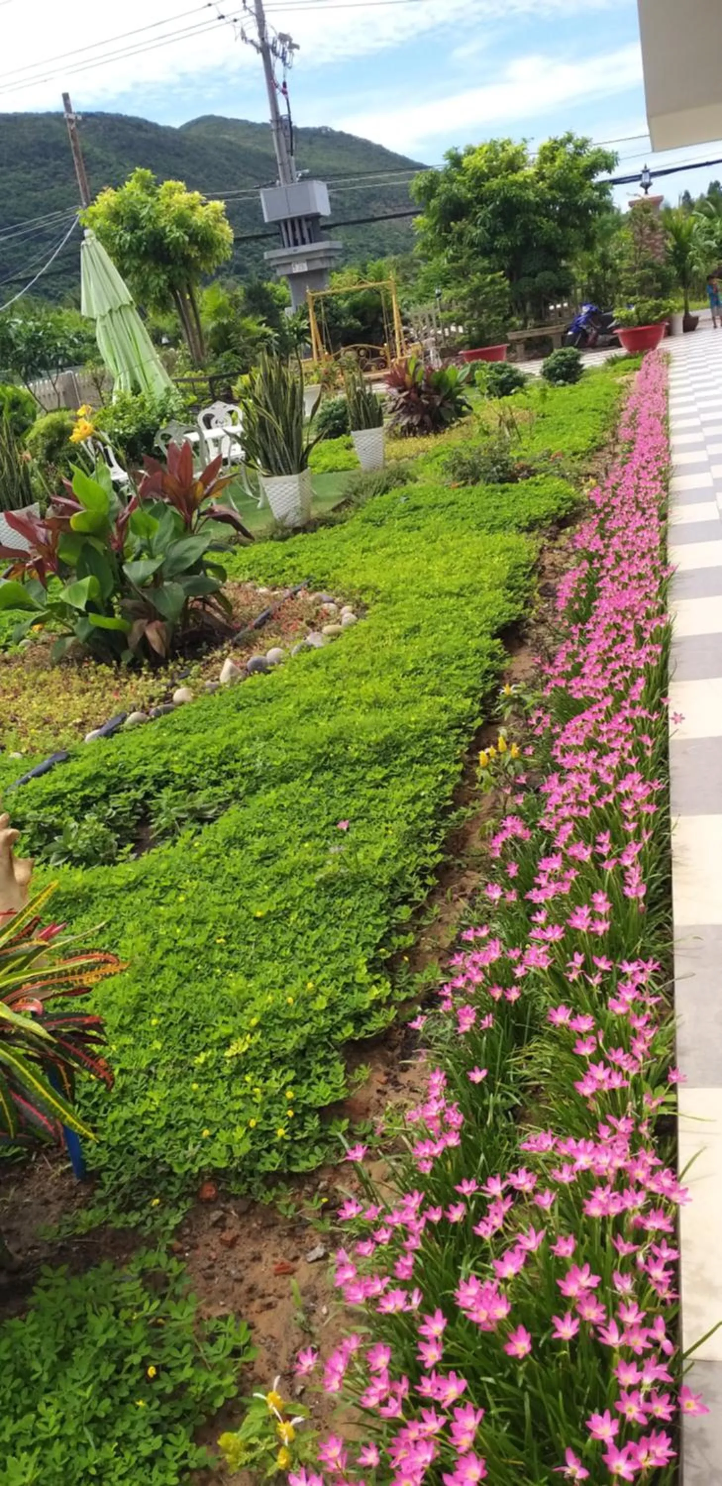 Spring in Garden House Côn Đảo